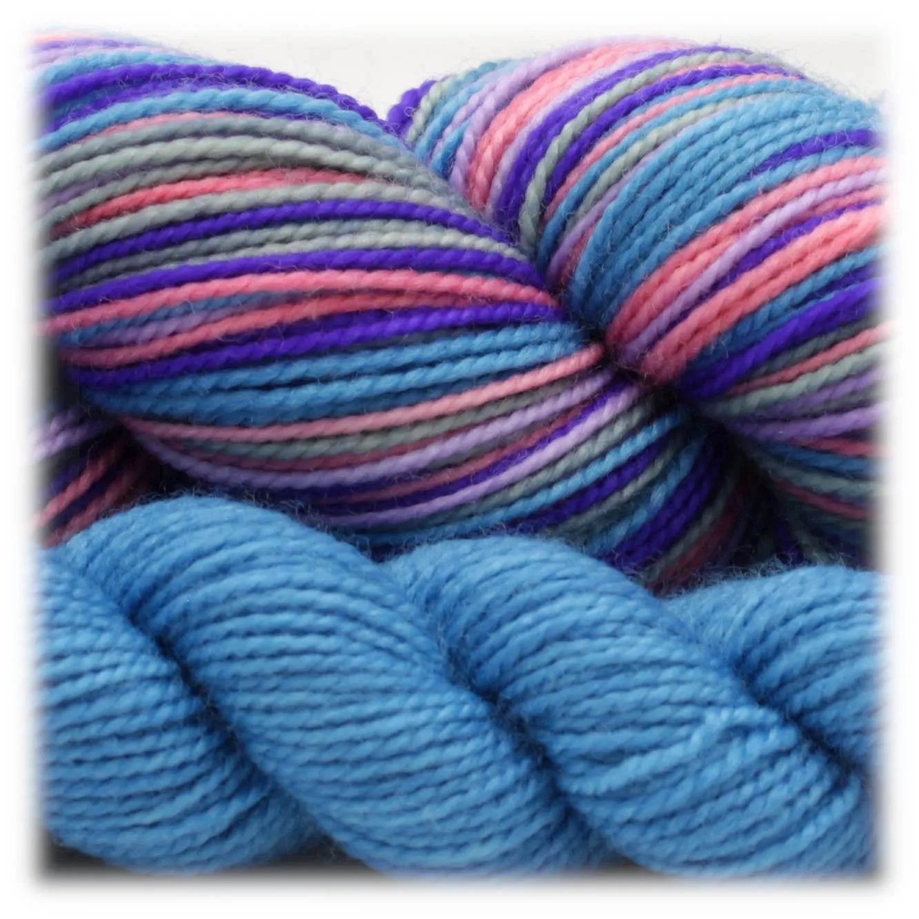 Anthozoa Sock Sets