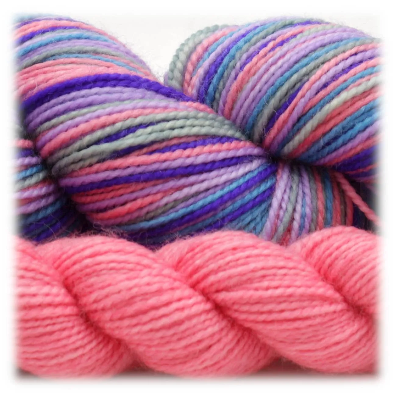 Anthozoa Sock Sets