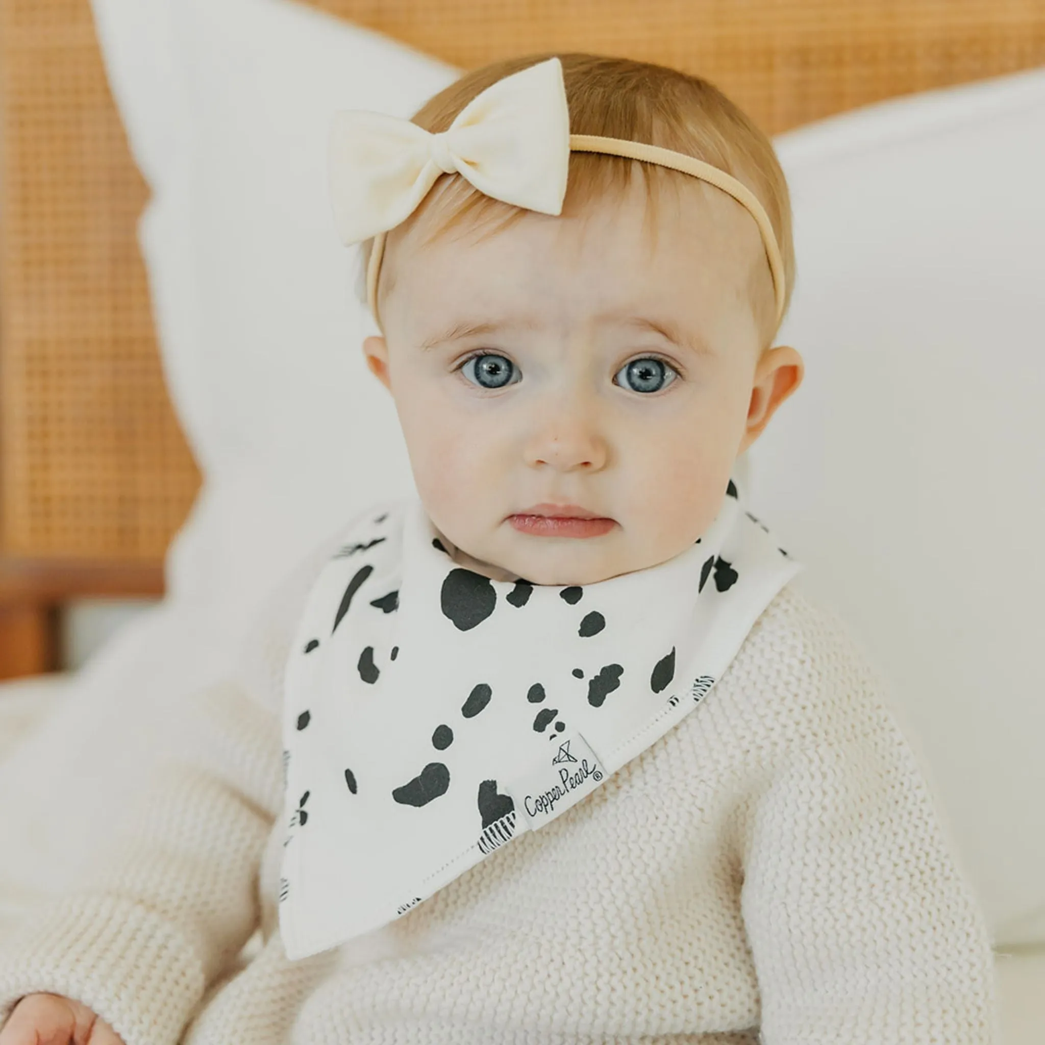 Baby Bandana Bibs - Rufus