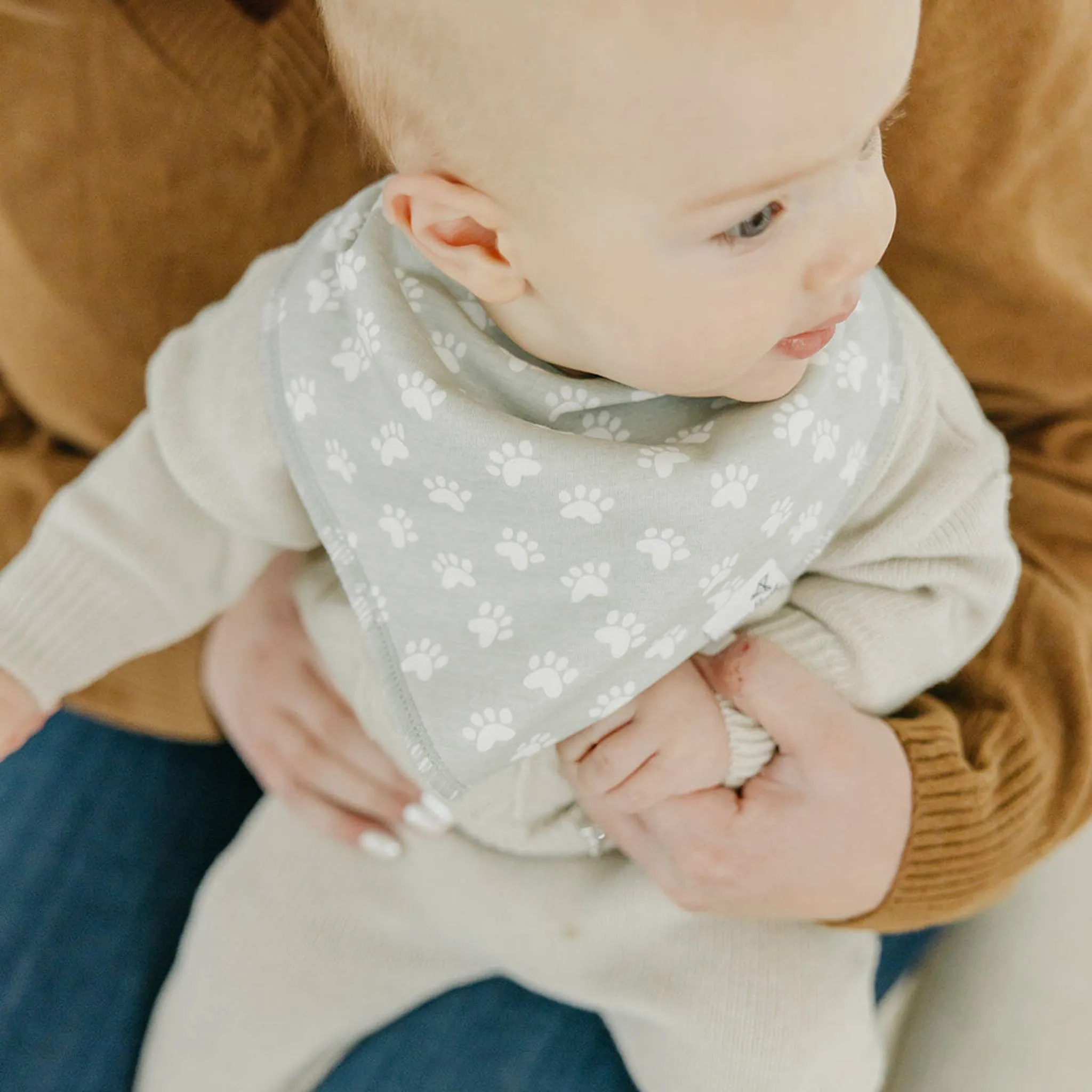 Baby Bandana Bibs - Rufus