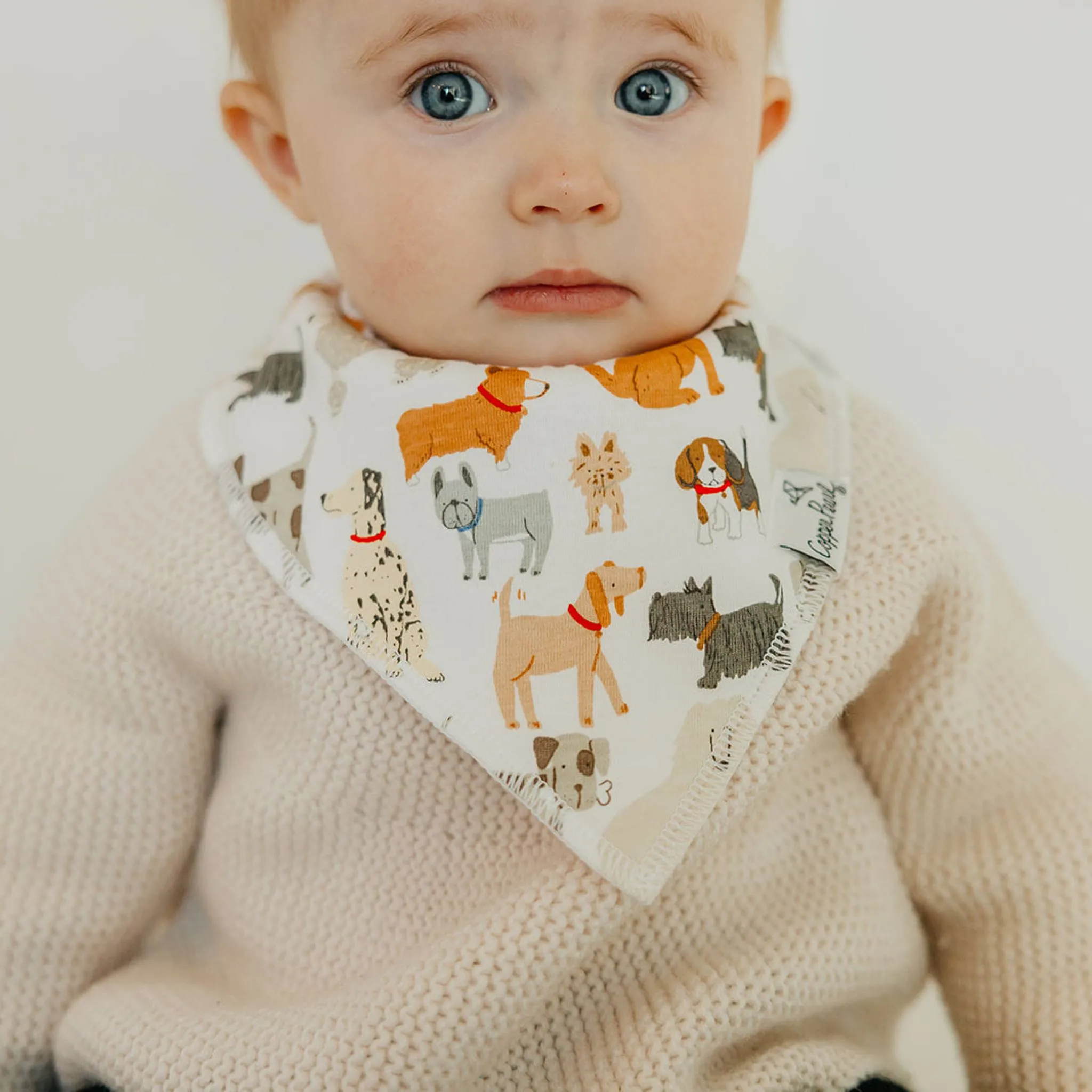 Baby Bandana Bibs - Rufus