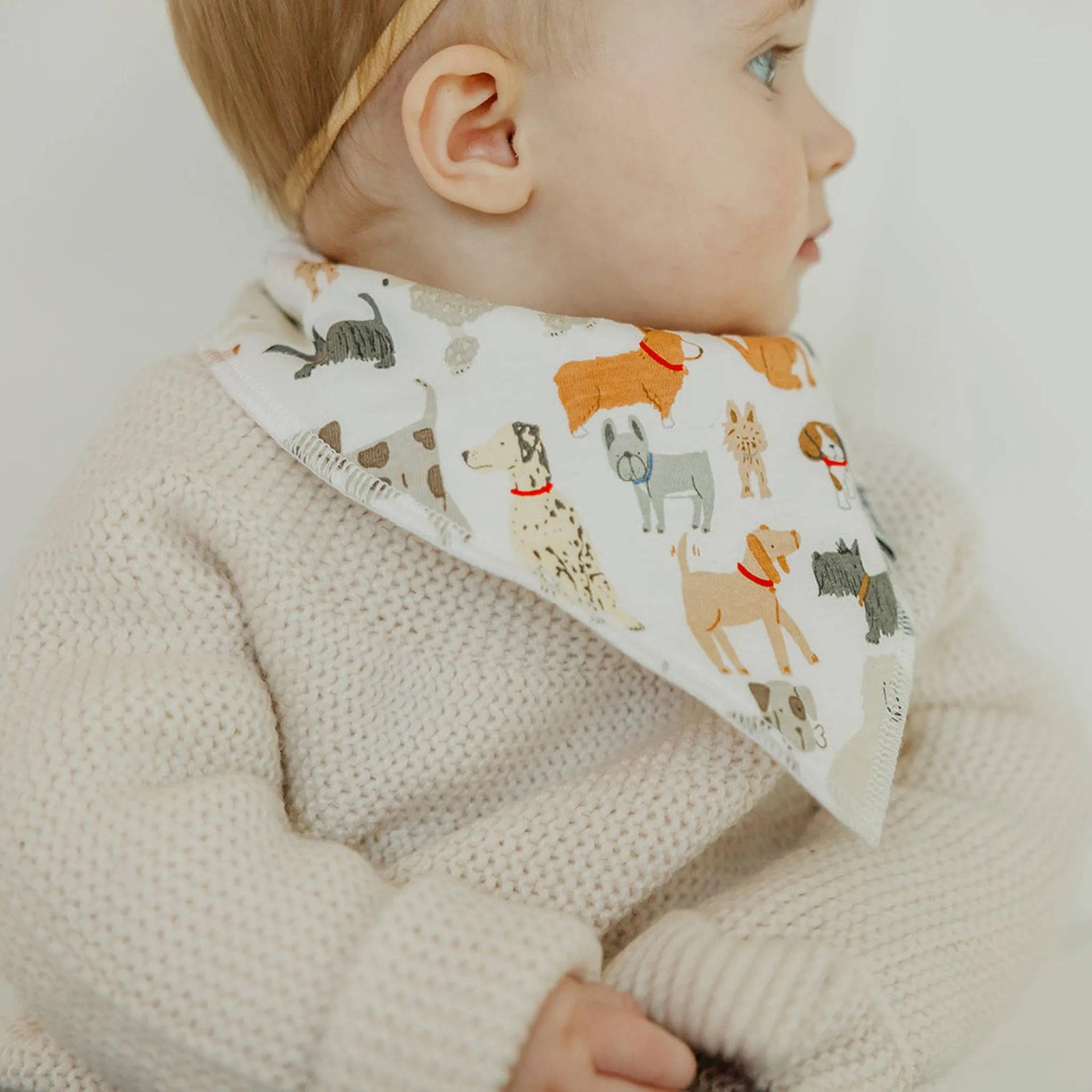 Baby Bandana Bibs - Rufus