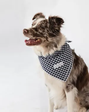 Buddy Navy Gingham Dog Bandana