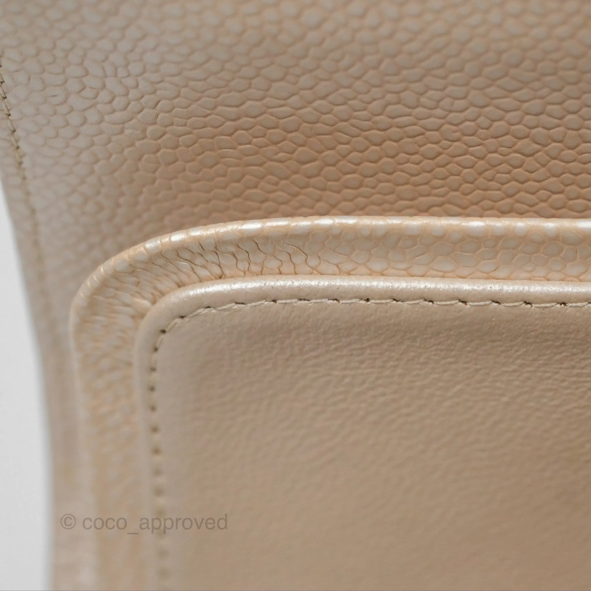 Chanel Classic M/L Medium Double Flap Iridescent Pearly Caviar Aged Gold Hardware⁣⁣