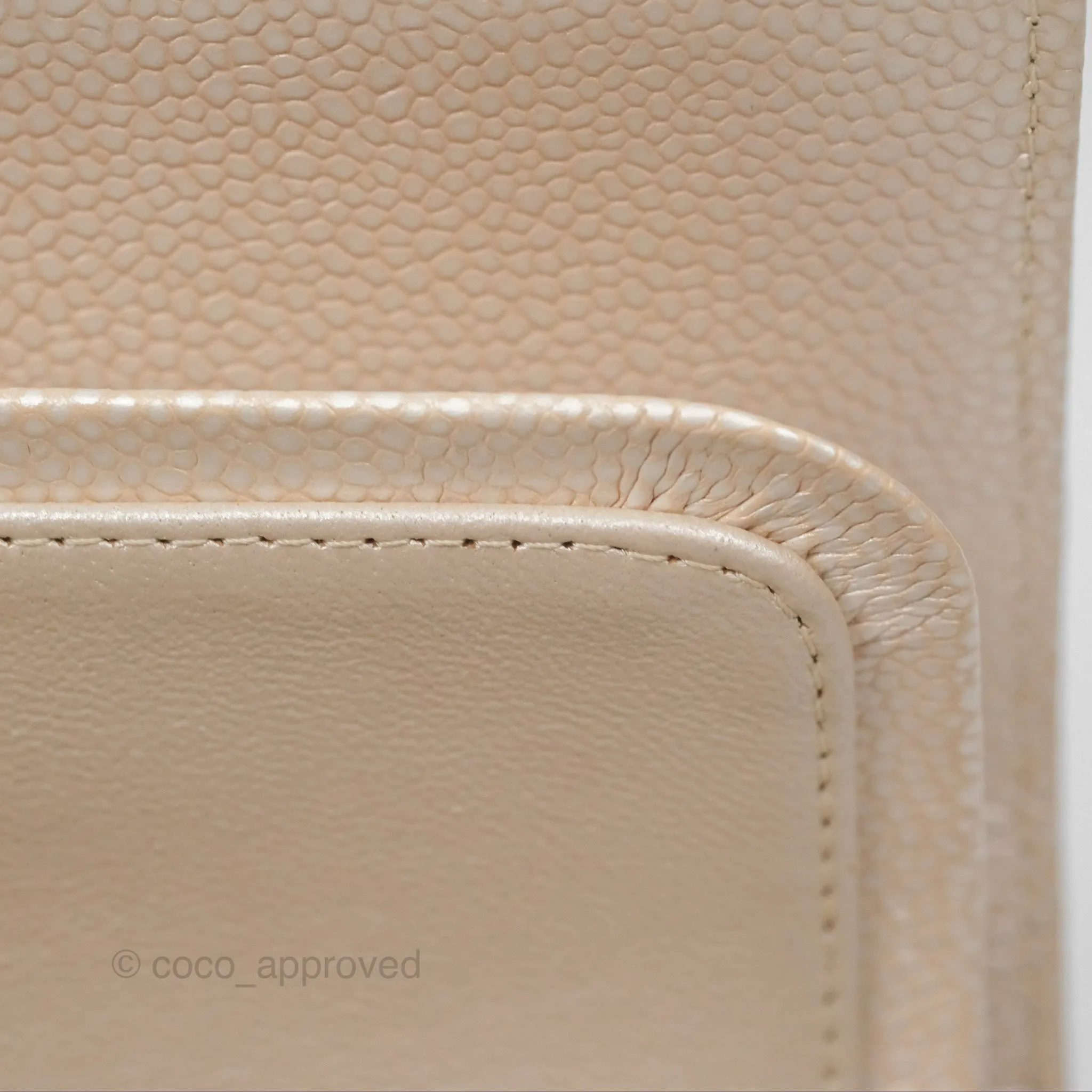 Chanel Classic M/L Medium Double Flap Iridescent Pearly Caviar Aged Gold Hardware⁣⁣