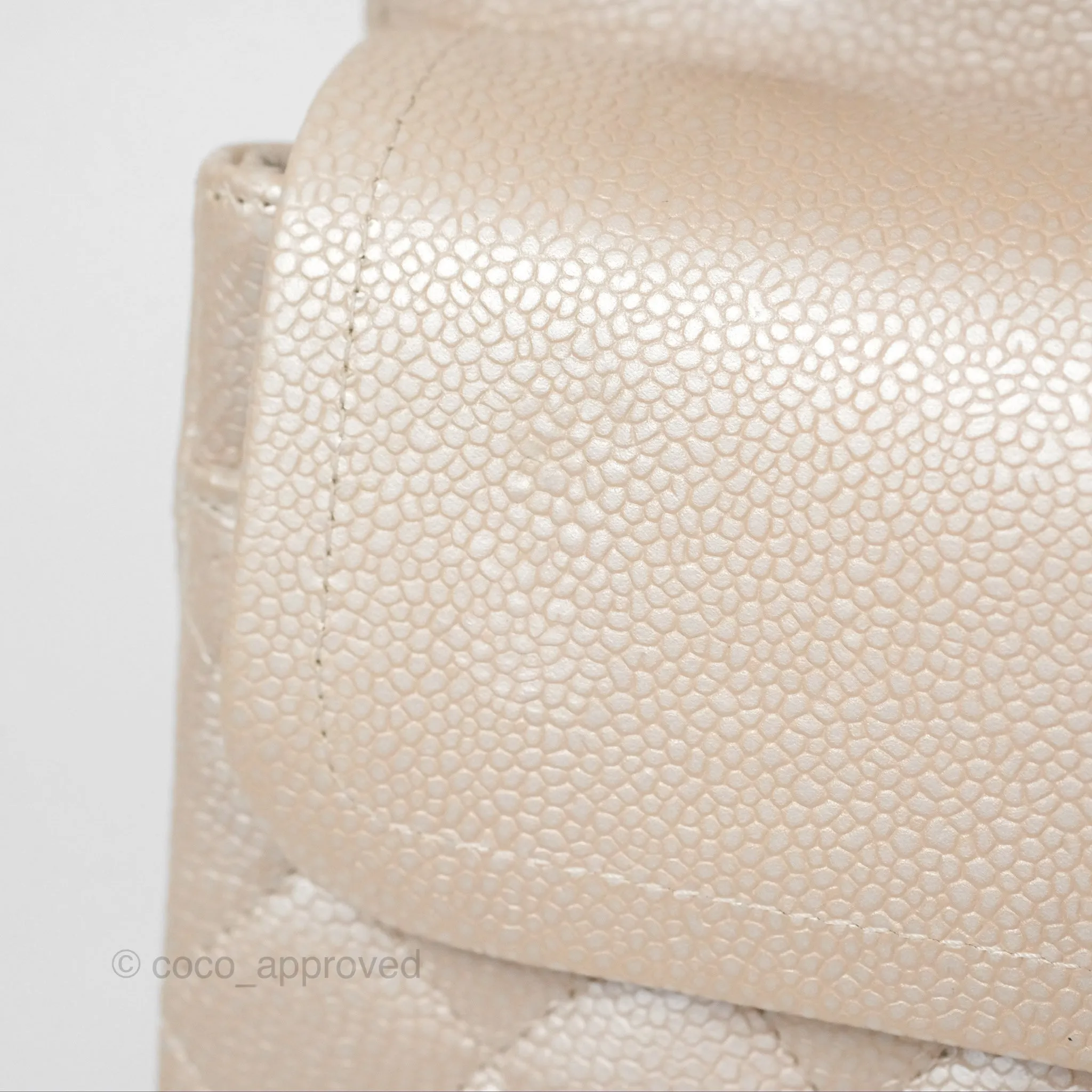 Chanel Classic M/L Medium Double Flap Iridescent Pearly Caviar Aged Gold Hardware⁣⁣