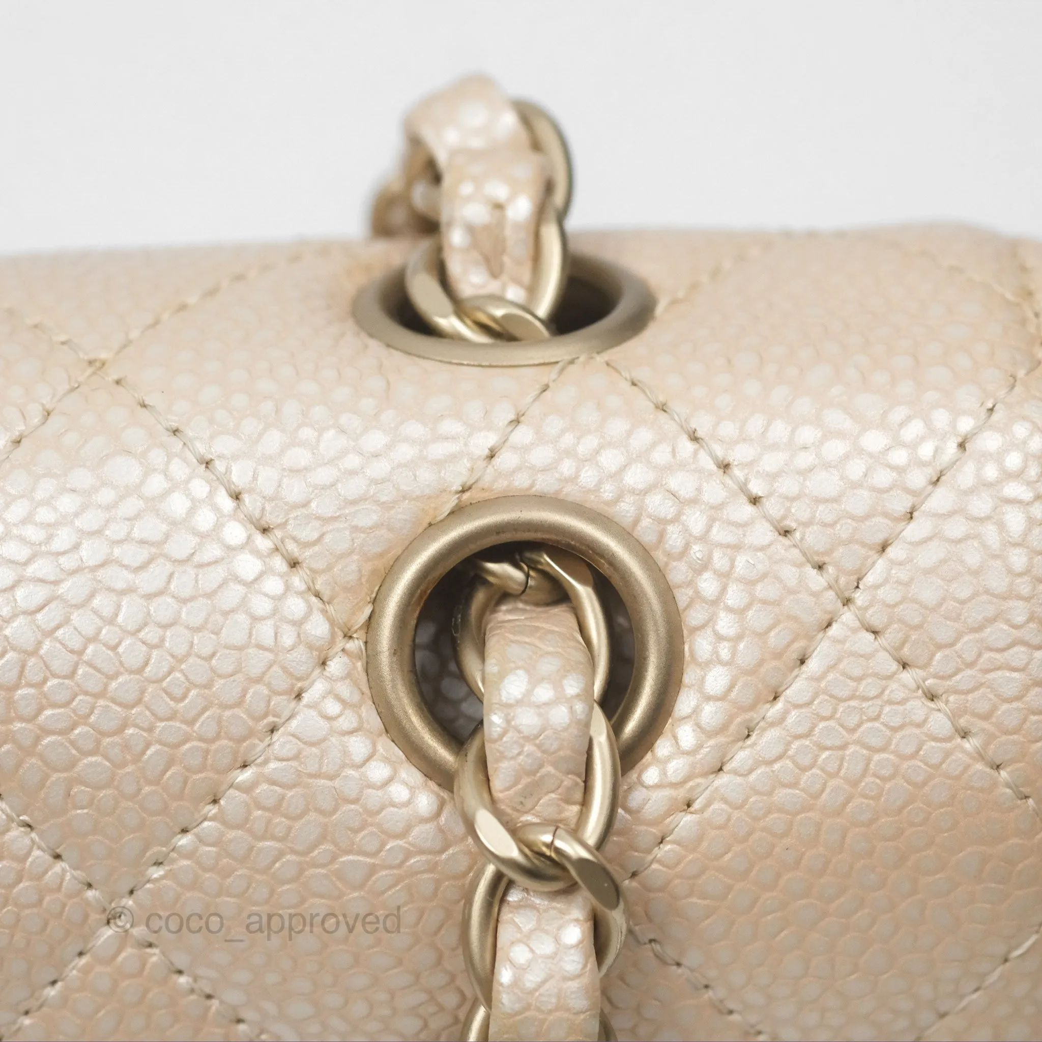 Chanel Classic M/L Medium Double Flap Iridescent Pearly Caviar Aged Gold Hardware⁣⁣