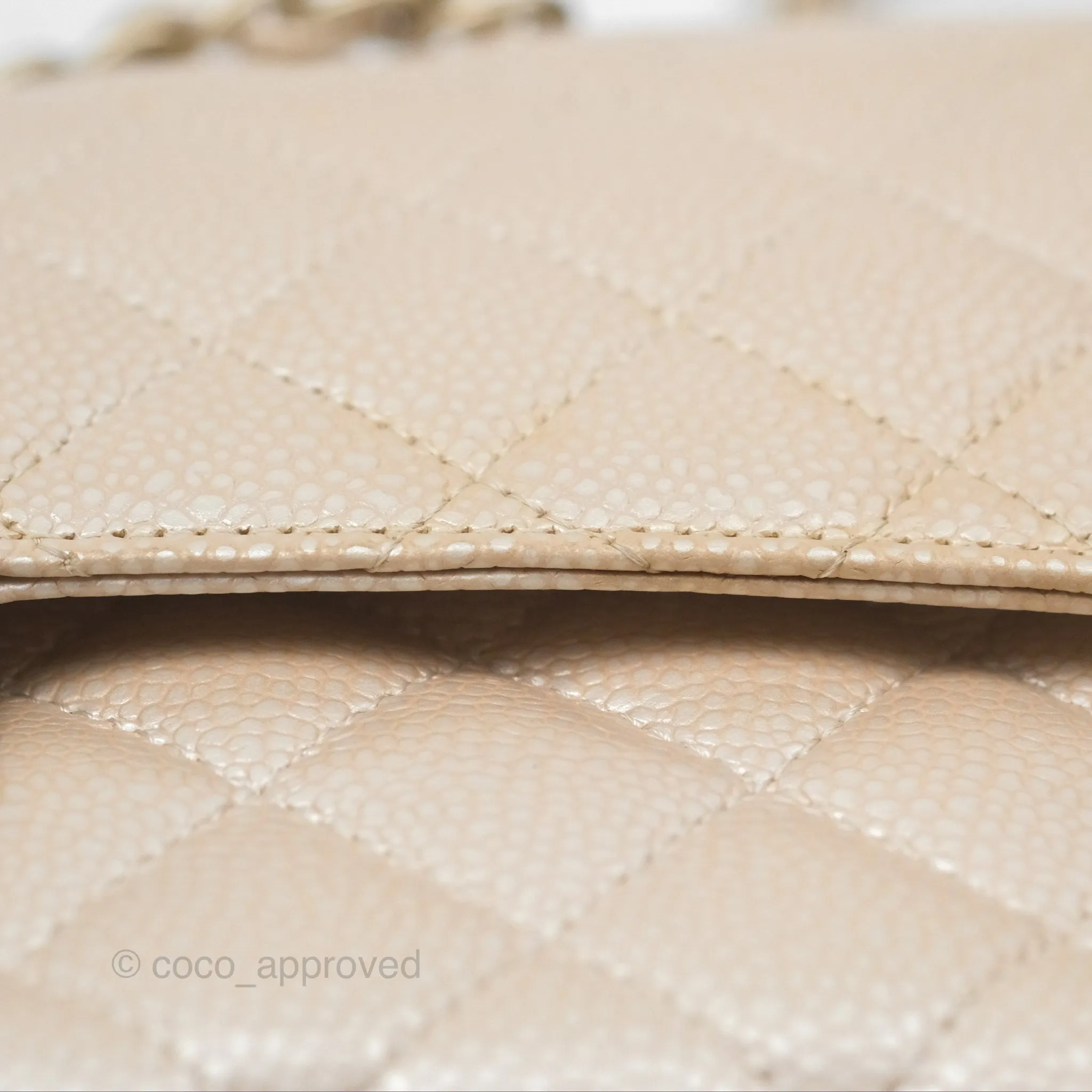 Chanel Classic M/L Medium Double Flap Iridescent Pearly Caviar Aged Gold Hardware⁣⁣