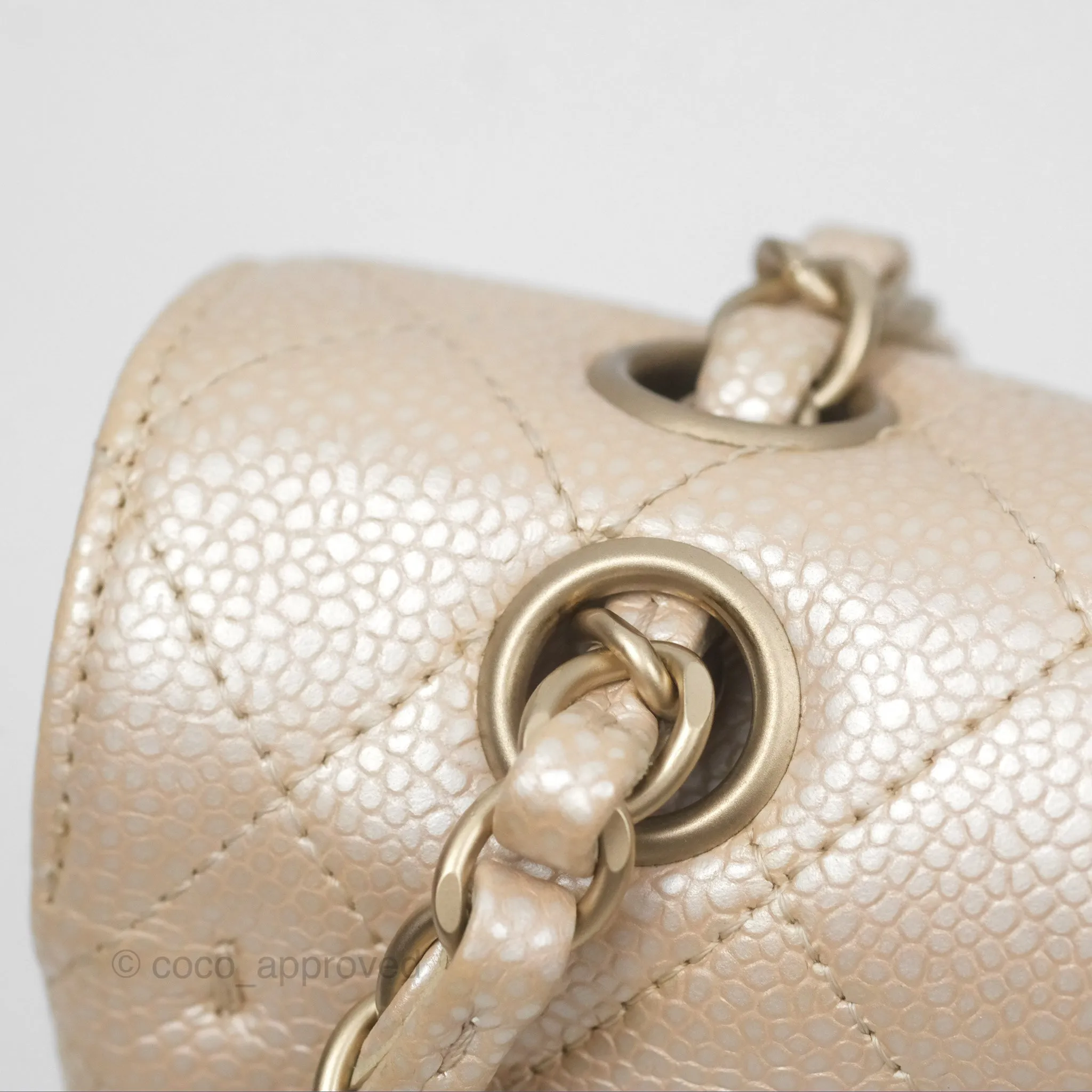 Chanel Classic M/L Medium Double Flap Iridescent Pearly Caviar Aged Gold Hardware⁣⁣