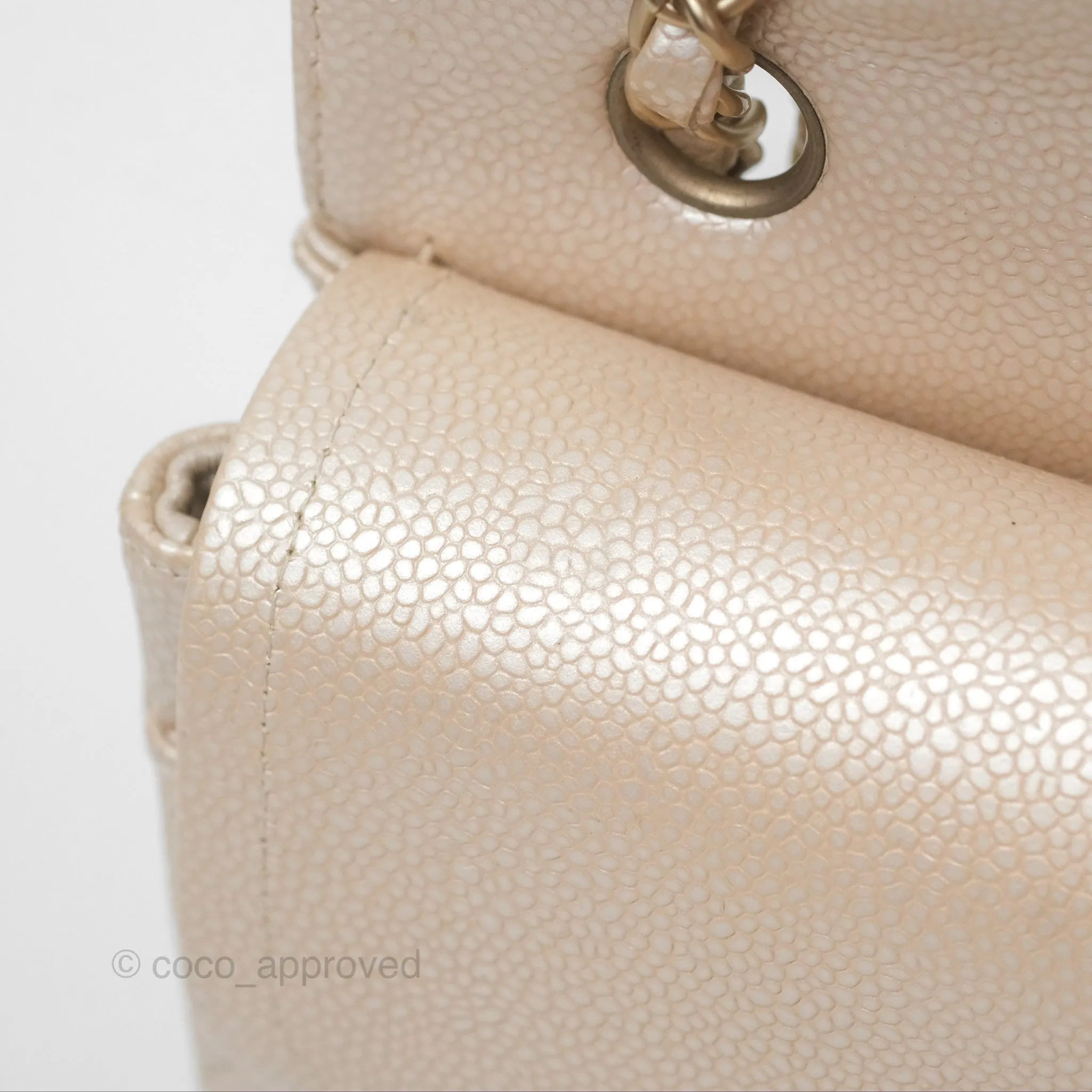 Chanel Classic M/L Medium Double Flap Iridescent Pearly Caviar Aged Gold Hardware⁣⁣
