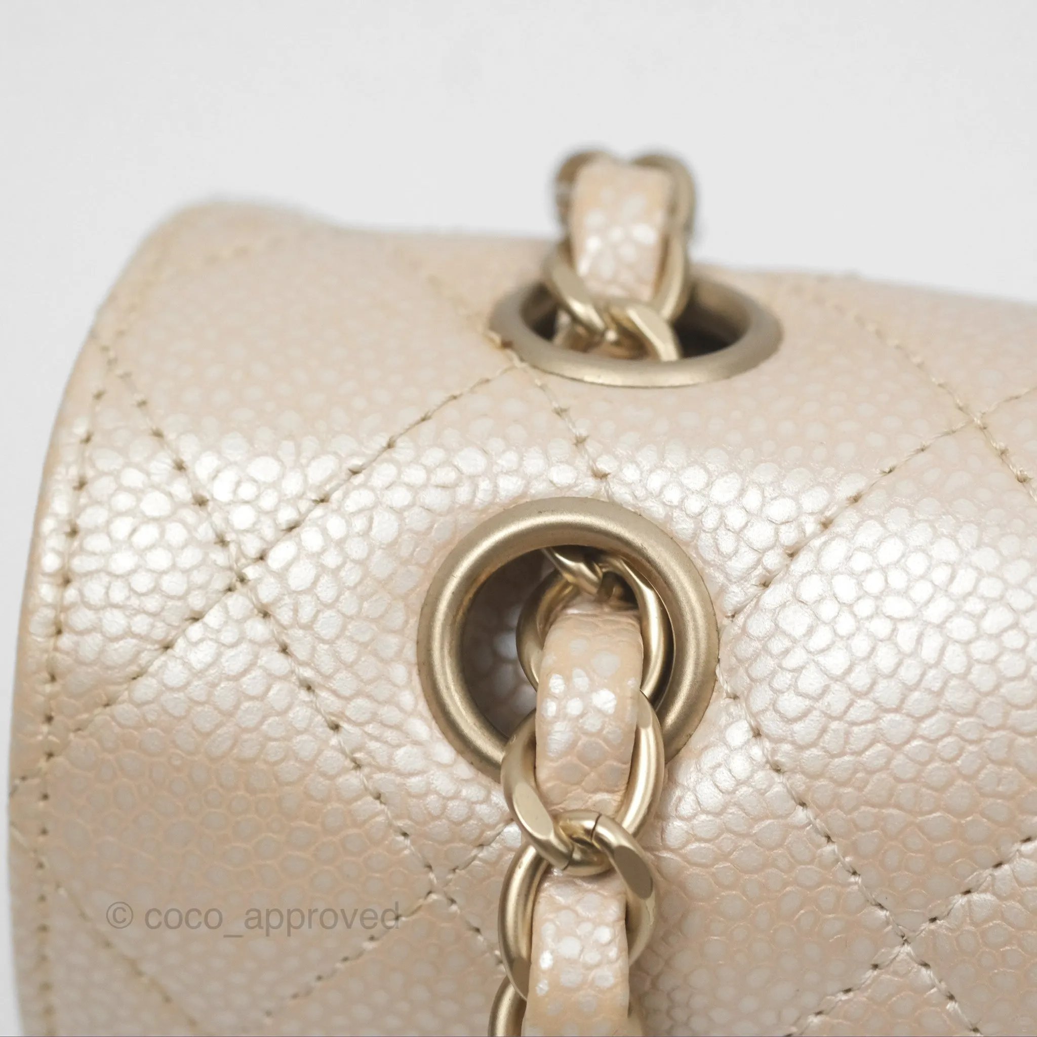 Chanel Classic M/L Medium Double Flap Iridescent Pearly Caviar Aged Gold Hardware⁣⁣