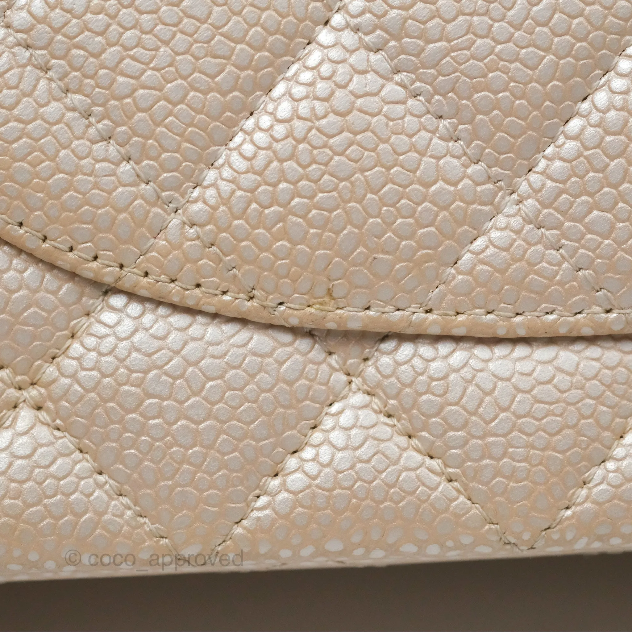 Chanel Classic M/L Medium Double Flap Iridescent Pearly Caviar Aged Gold Hardware⁣⁣