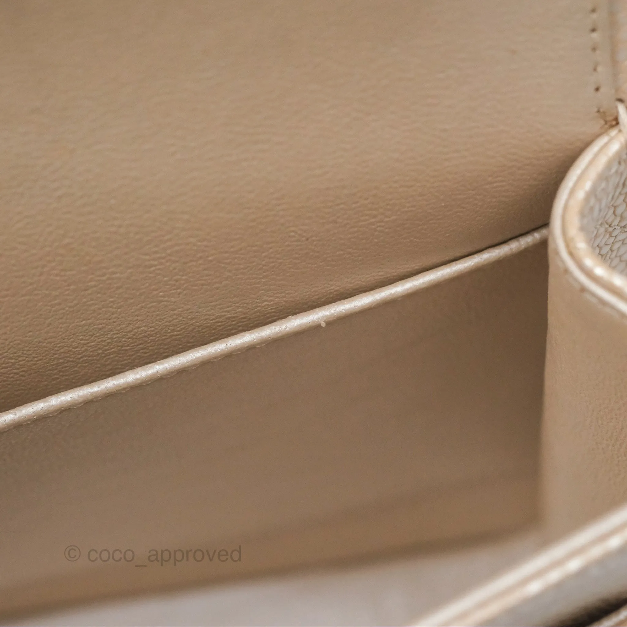 Chanel Classic M/L Medium Double Flap Iridescent Pearly Caviar Aged Gold Hardware⁣⁣