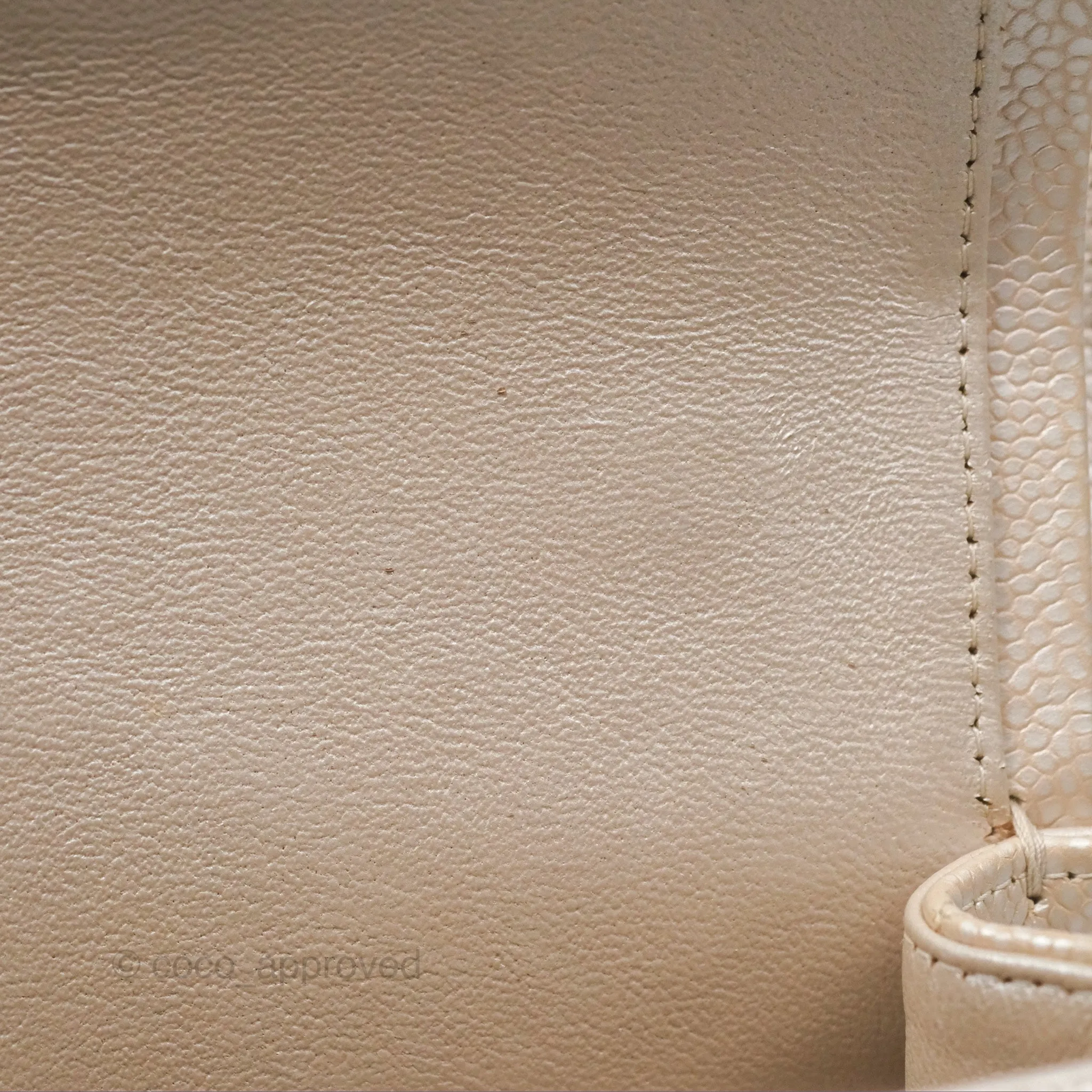 Chanel Classic M/L Medium Double Flap Iridescent Pearly Caviar Aged Gold Hardware⁣⁣
