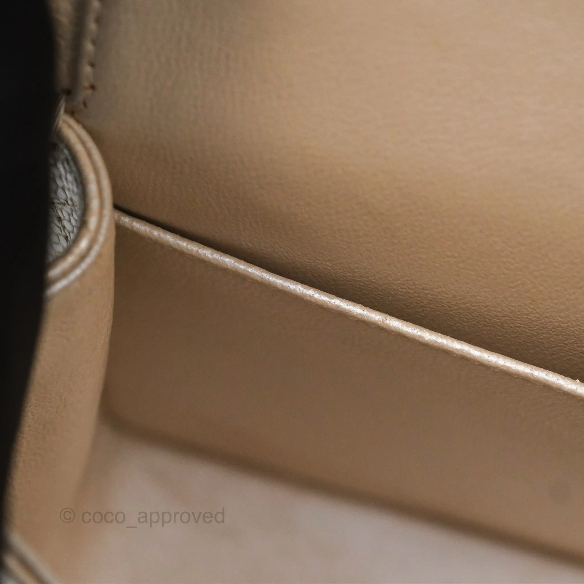Chanel Classic M/L Medium Double Flap Iridescent Pearly Caviar Aged Gold Hardware⁣⁣