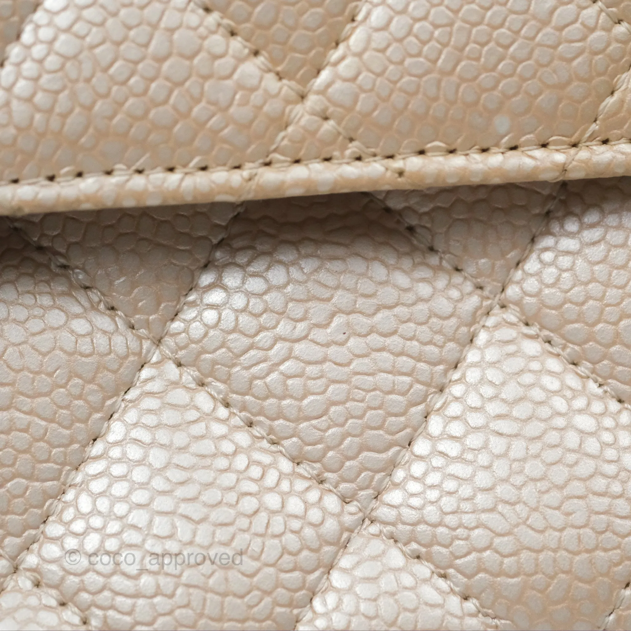 Chanel Classic M/L Medium Double Flap Iridescent Pearly Caviar Aged Gold Hardware⁣⁣