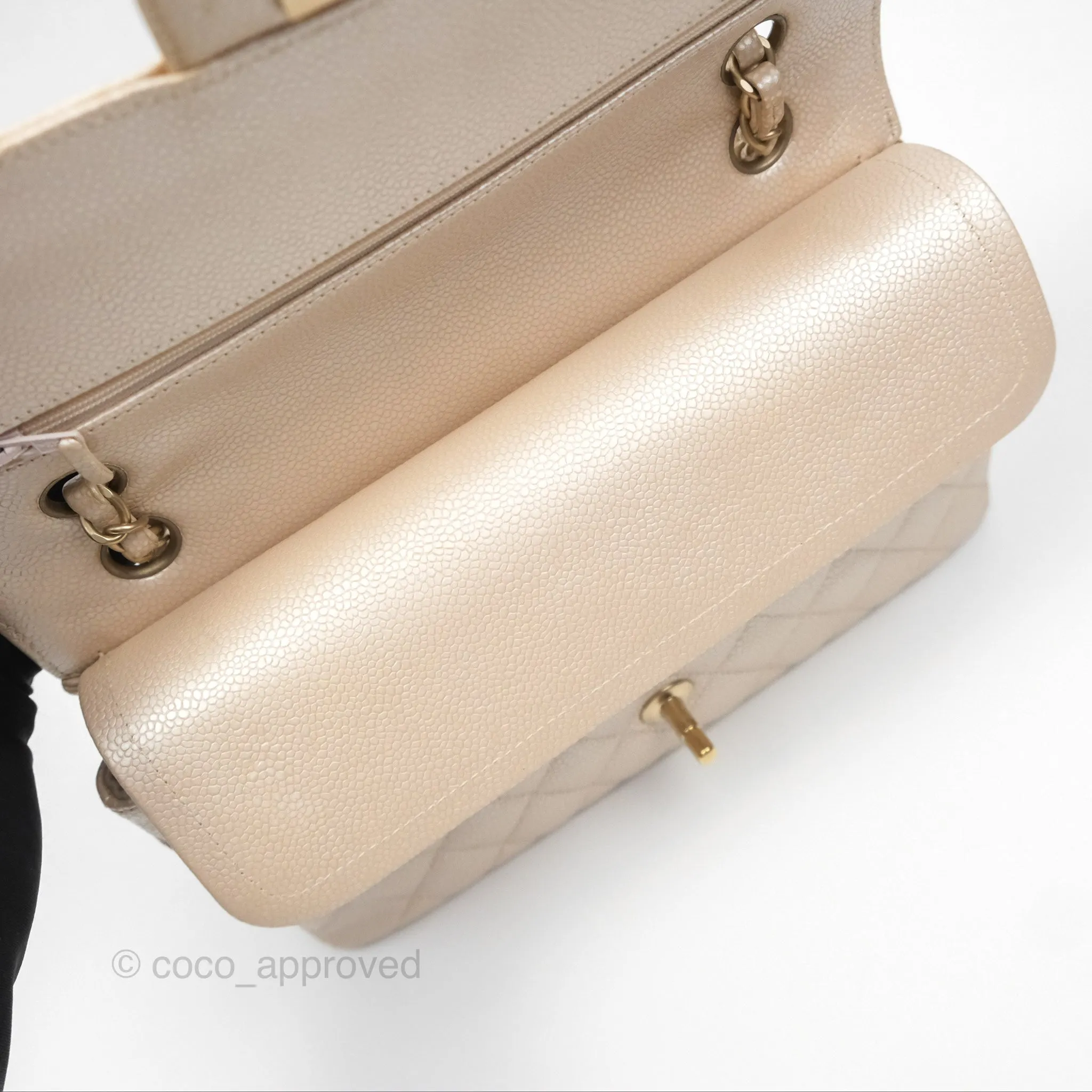 Chanel Classic M/L Medium Double Flap Iridescent Pearly Caviar Aged Gold Hardware⁣⁣