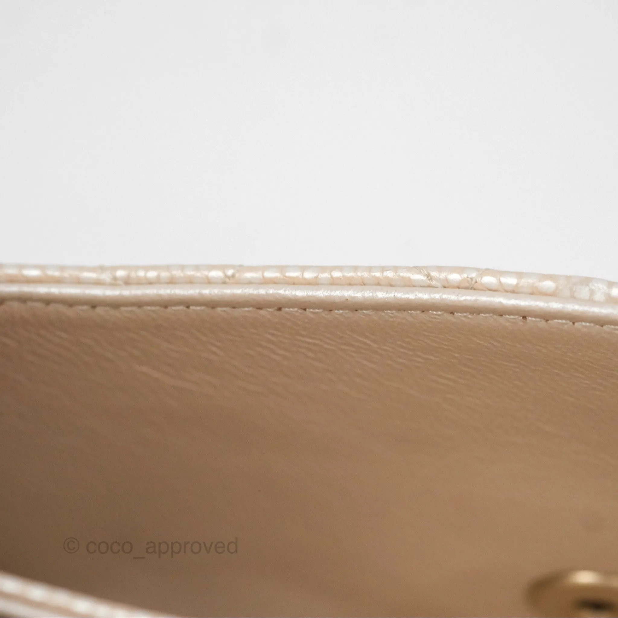 Chanel Classic M/L Medium Double Flap Iridescent Pearly Caviar Aged Gold Hardware⁣⁣