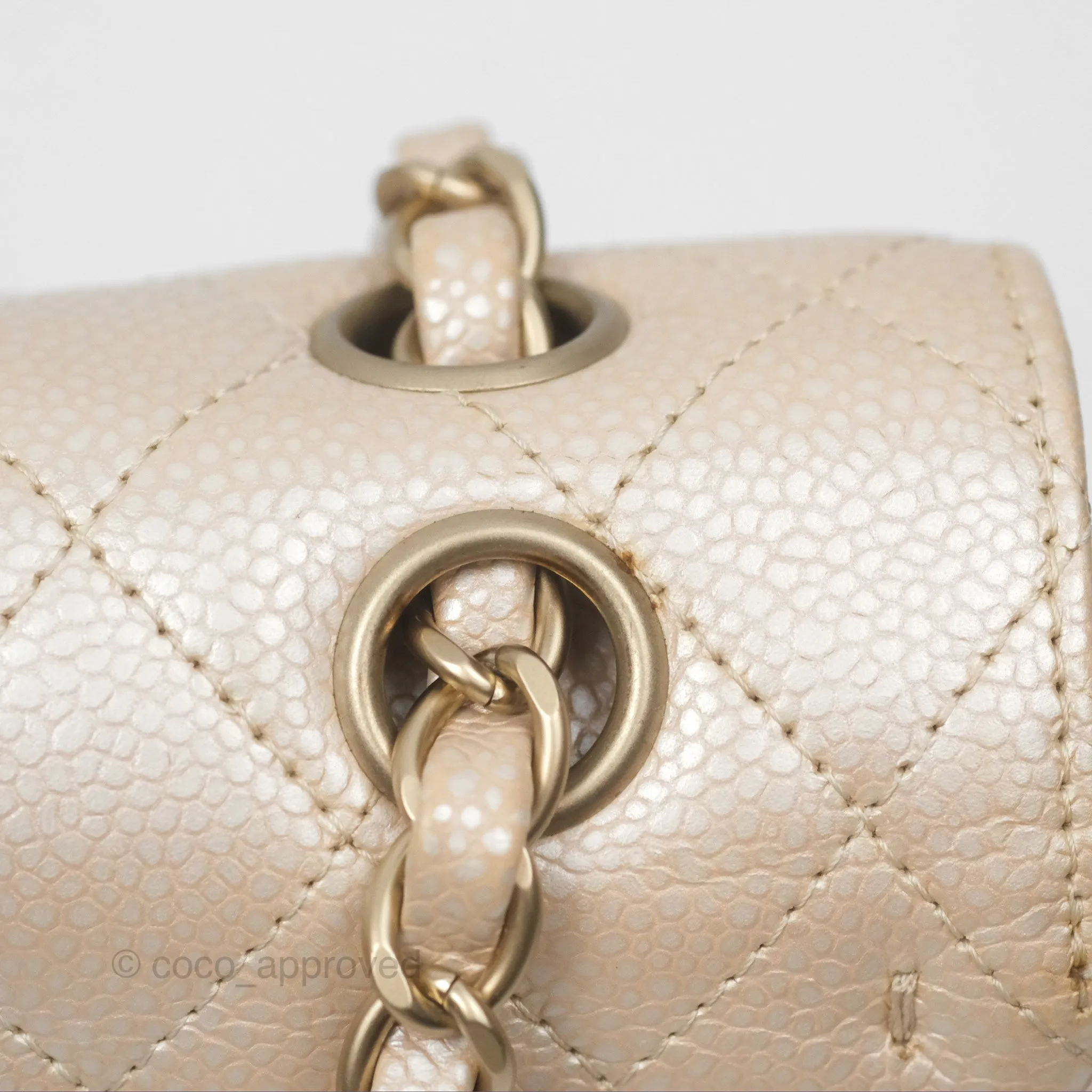 Chanel Classic M/L Medium Double Flap Iridescent Pearly Caviar Aged Gold Hardware⁣⁣