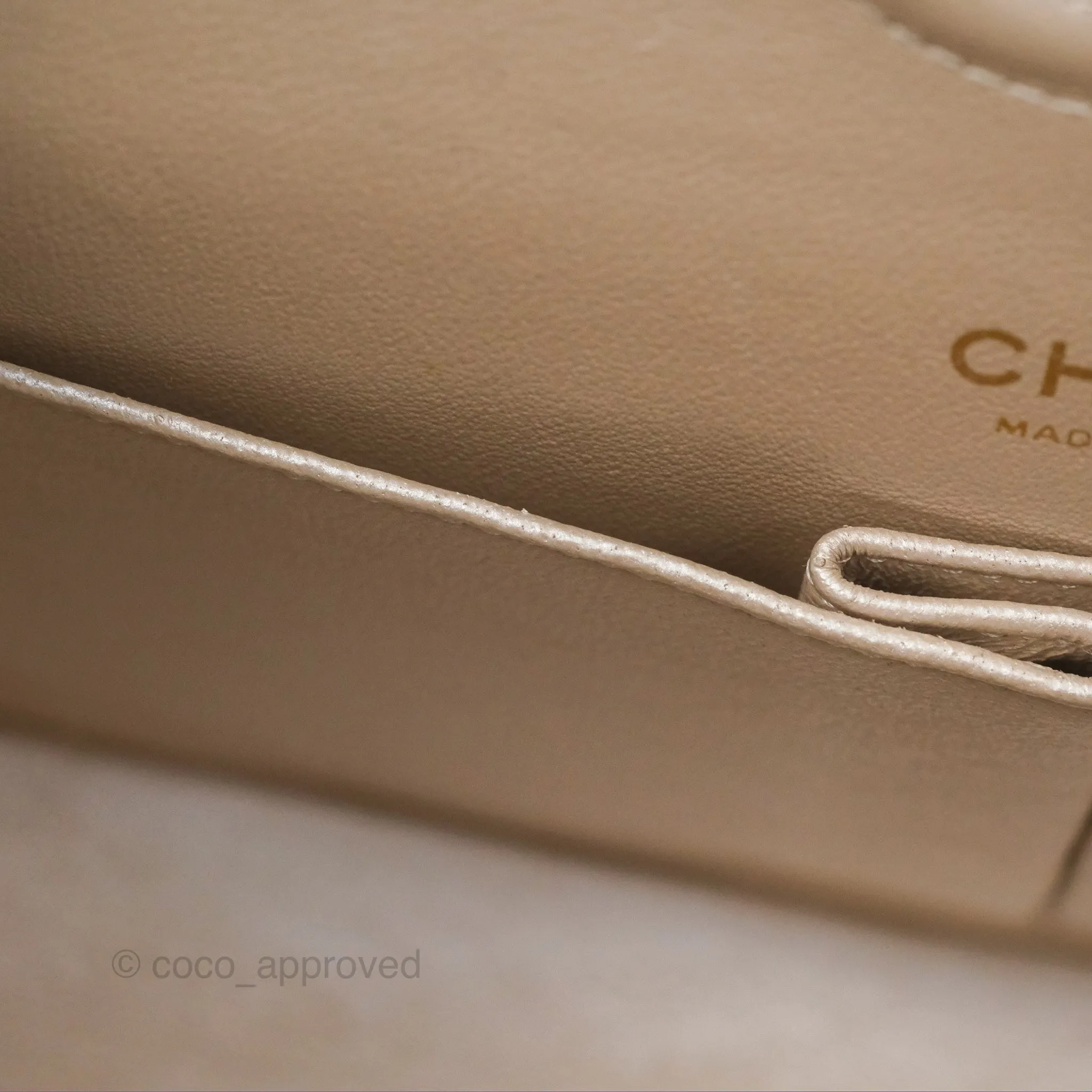 Chanel Classic M/L Medium Double Flap Iridescent Pearly Caviar Aged Gold Hardware⁣⁣