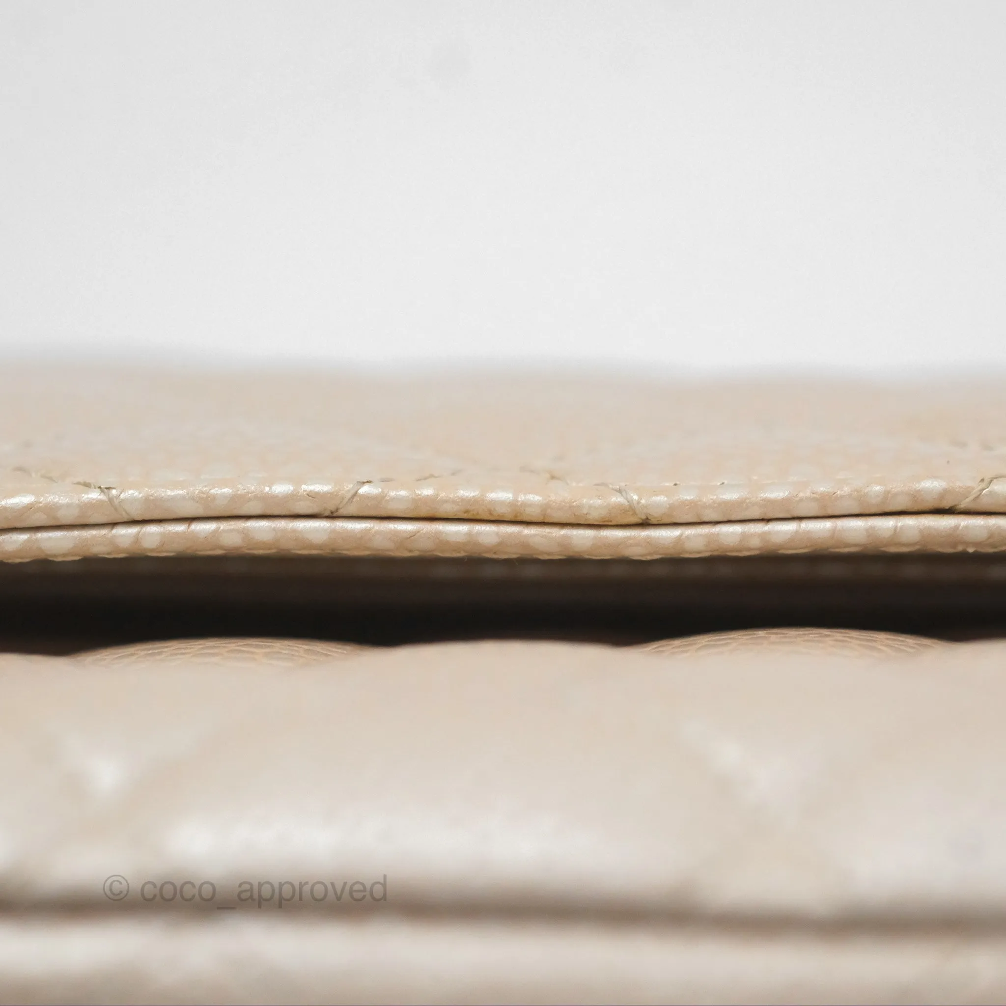 Chanel Classic M/L Medium Double Flap Iridescent Pearly Caviar Aged Gold Hardware⁣⁣
