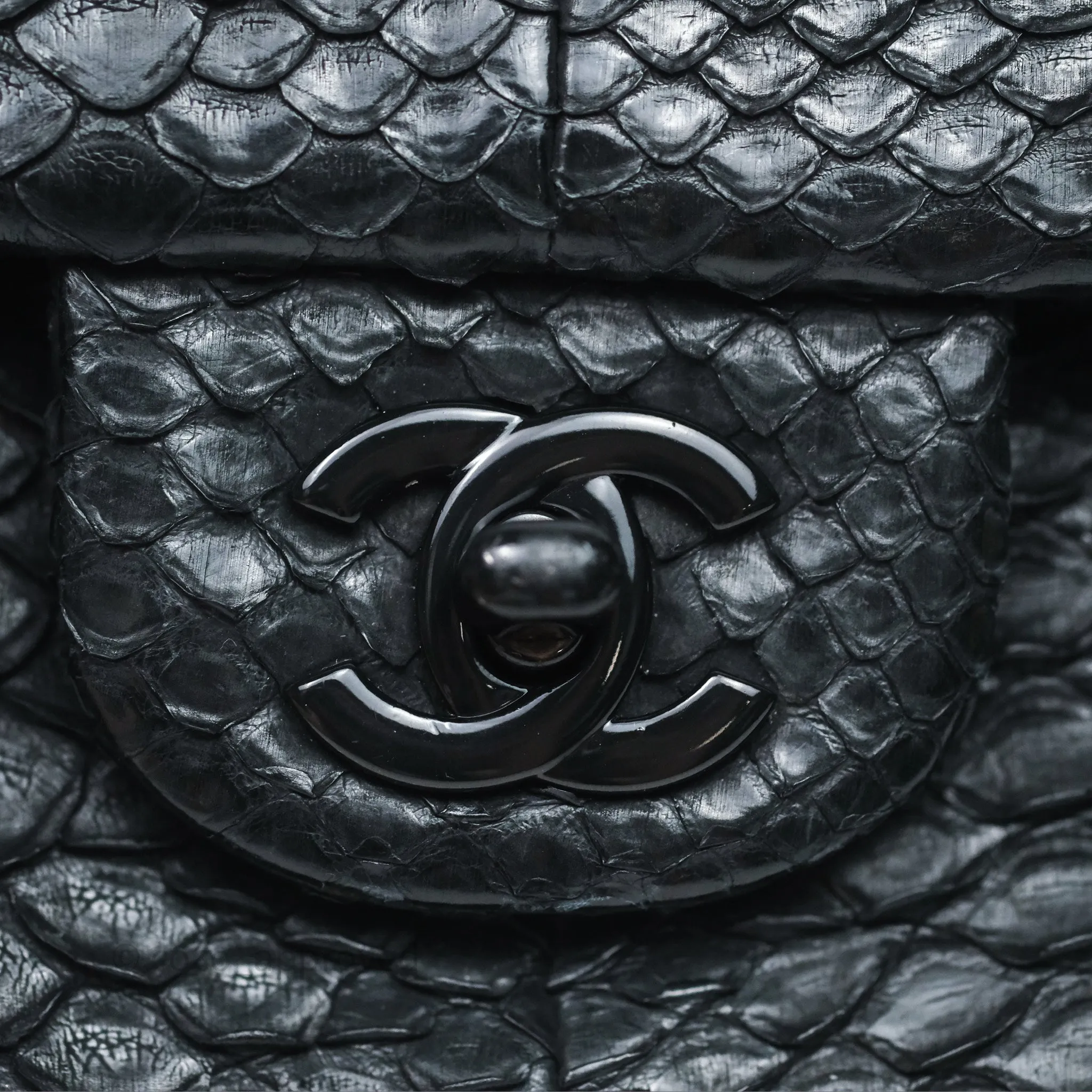 Chanel Classic M/L Medium Flap So Black Python Black Hardware