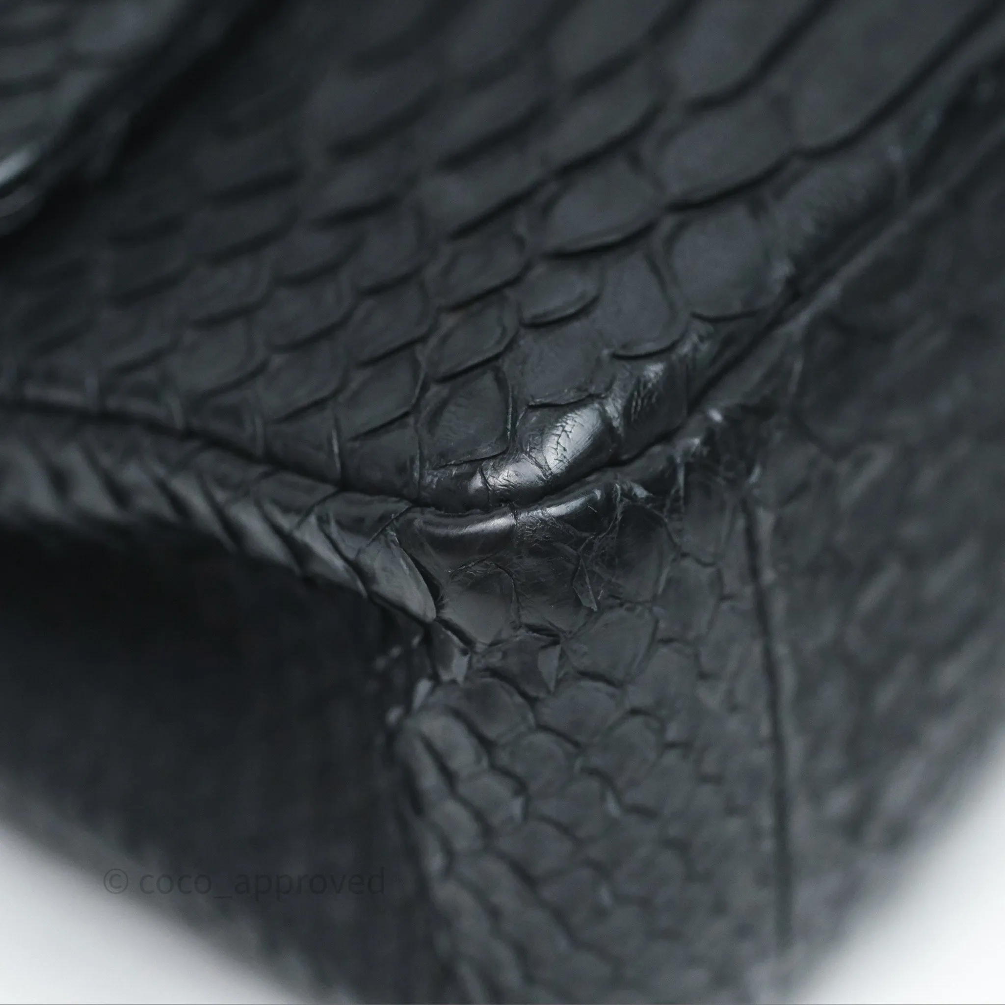 Chanel Classic M/L Medium Flap So Black Python Black Hardware