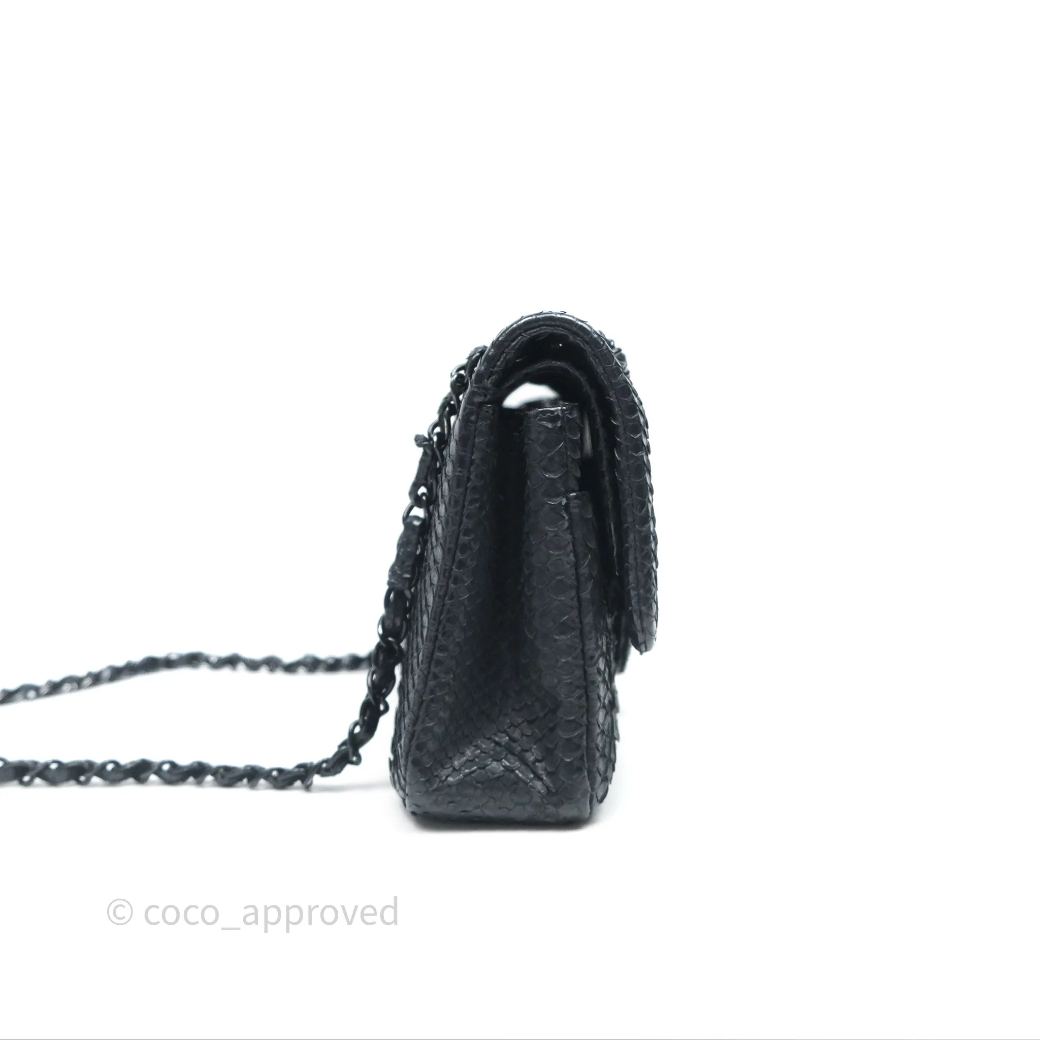 Chanel Classic M/L Medium Flap So Black Python Black Hardware