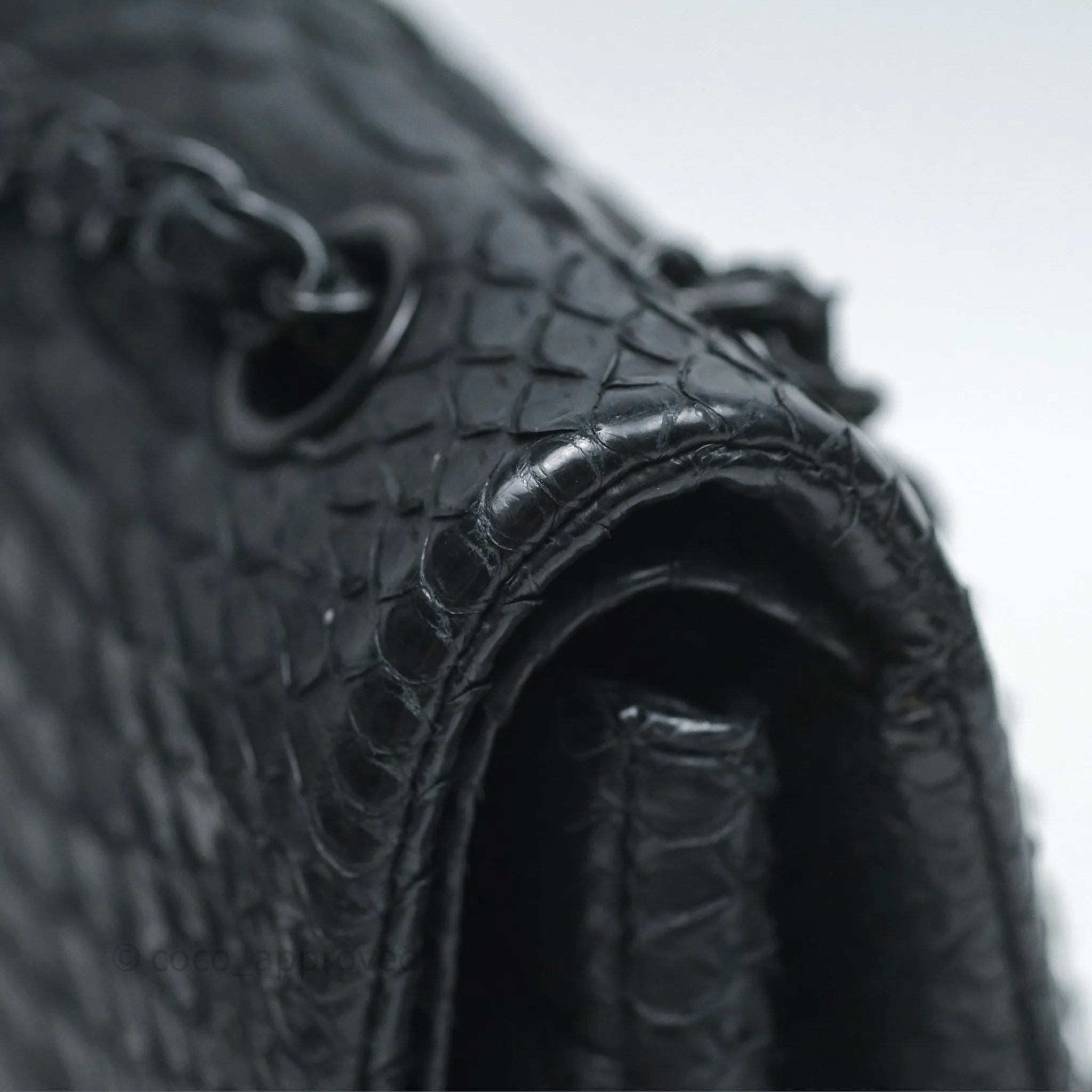 Chanel Classic M/L Medium Flap So Black Python Black Hardware