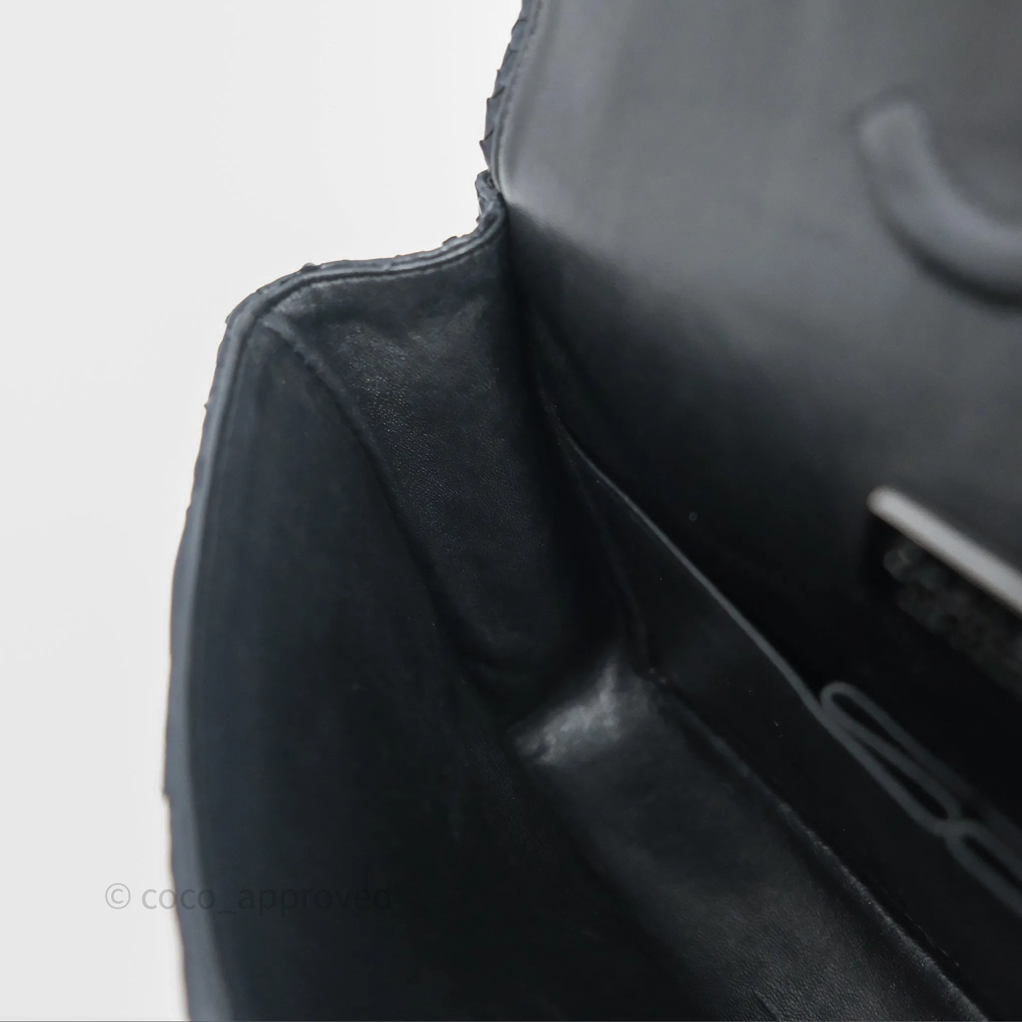 Chanel Classic M/L Medium Flap So Black Python Black Hardware