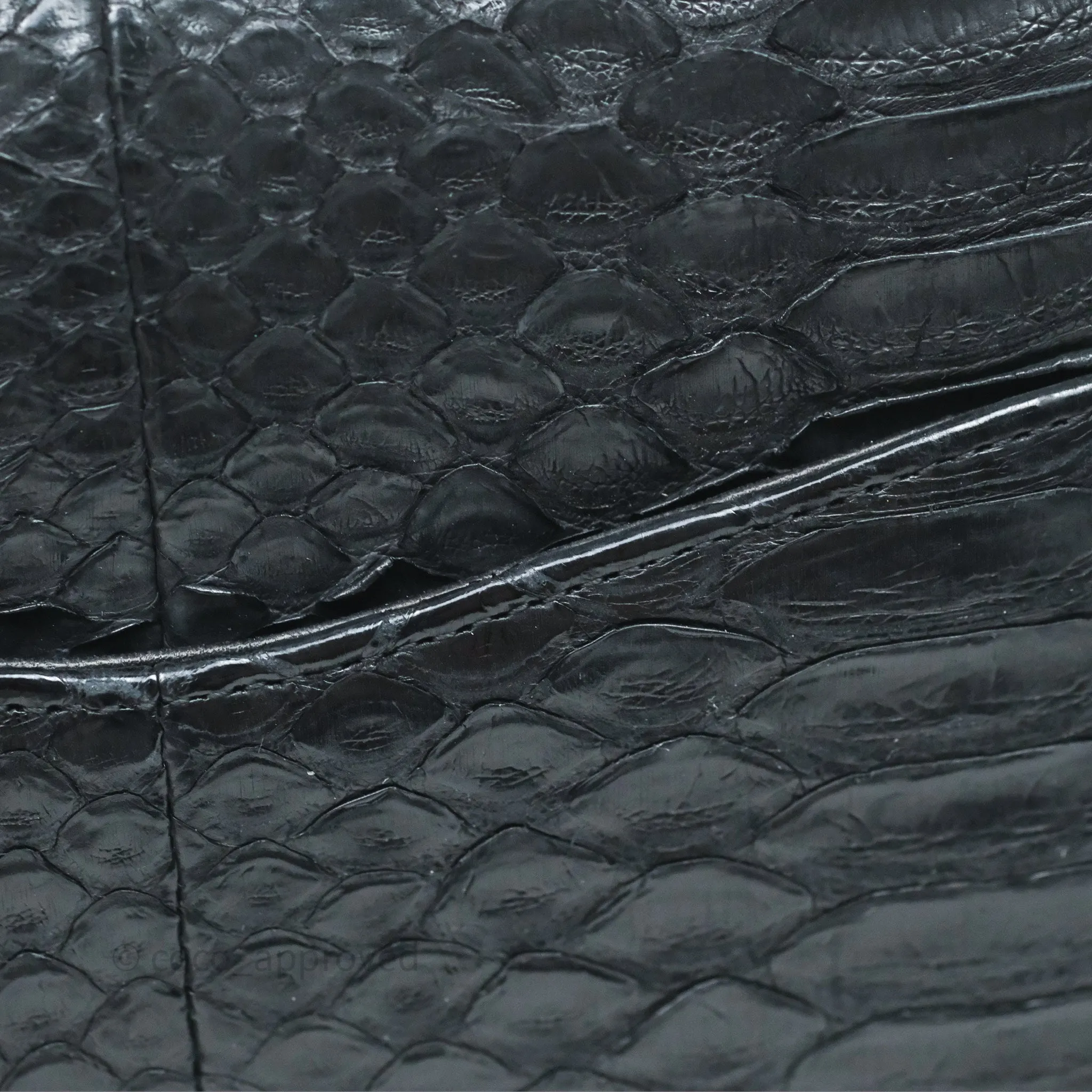 Chanel Classic M/L Medium Flap So Black Python Black Hardware