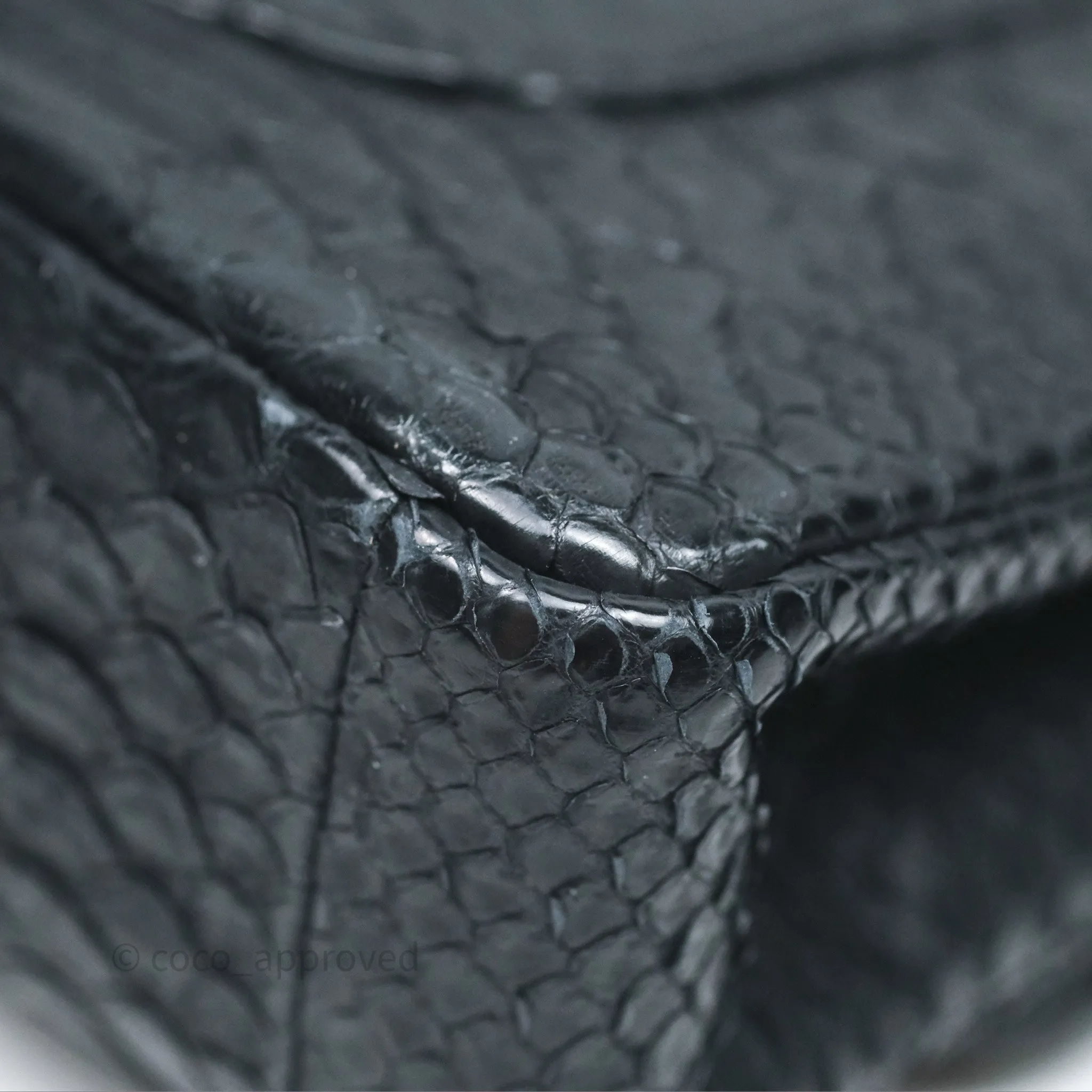Chanel Classic M/L Medium Flap So Black Python Black Hardware
