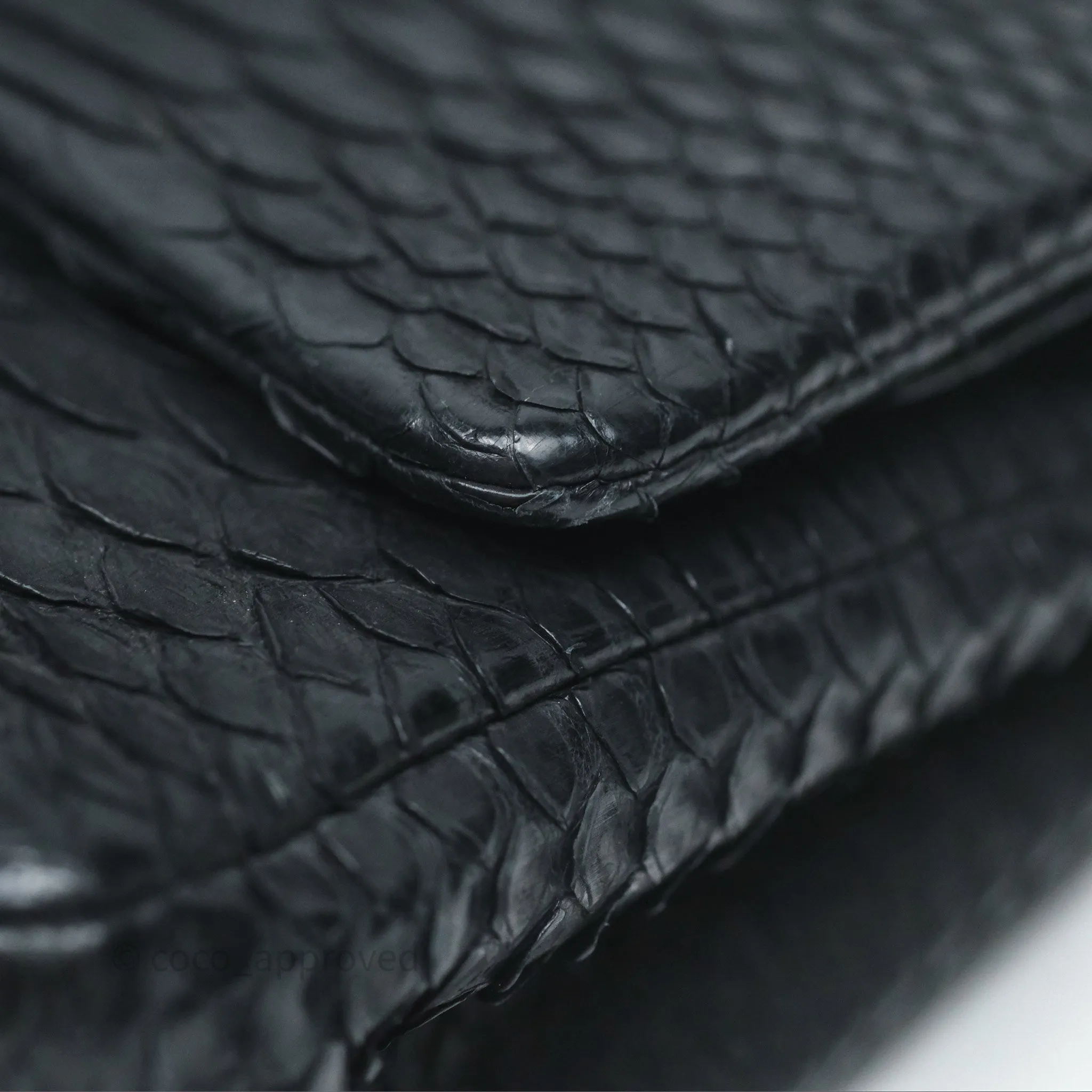 Chanel Classic M/L Medium Flap So Black Python Black Hardware