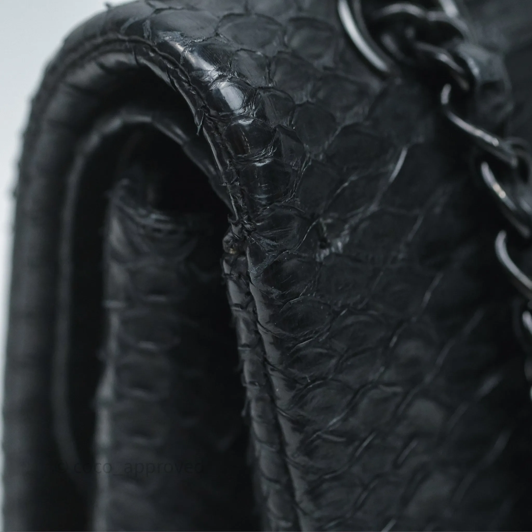 Chanel Classic M/L Medium Flap So Black Python Black Hardware