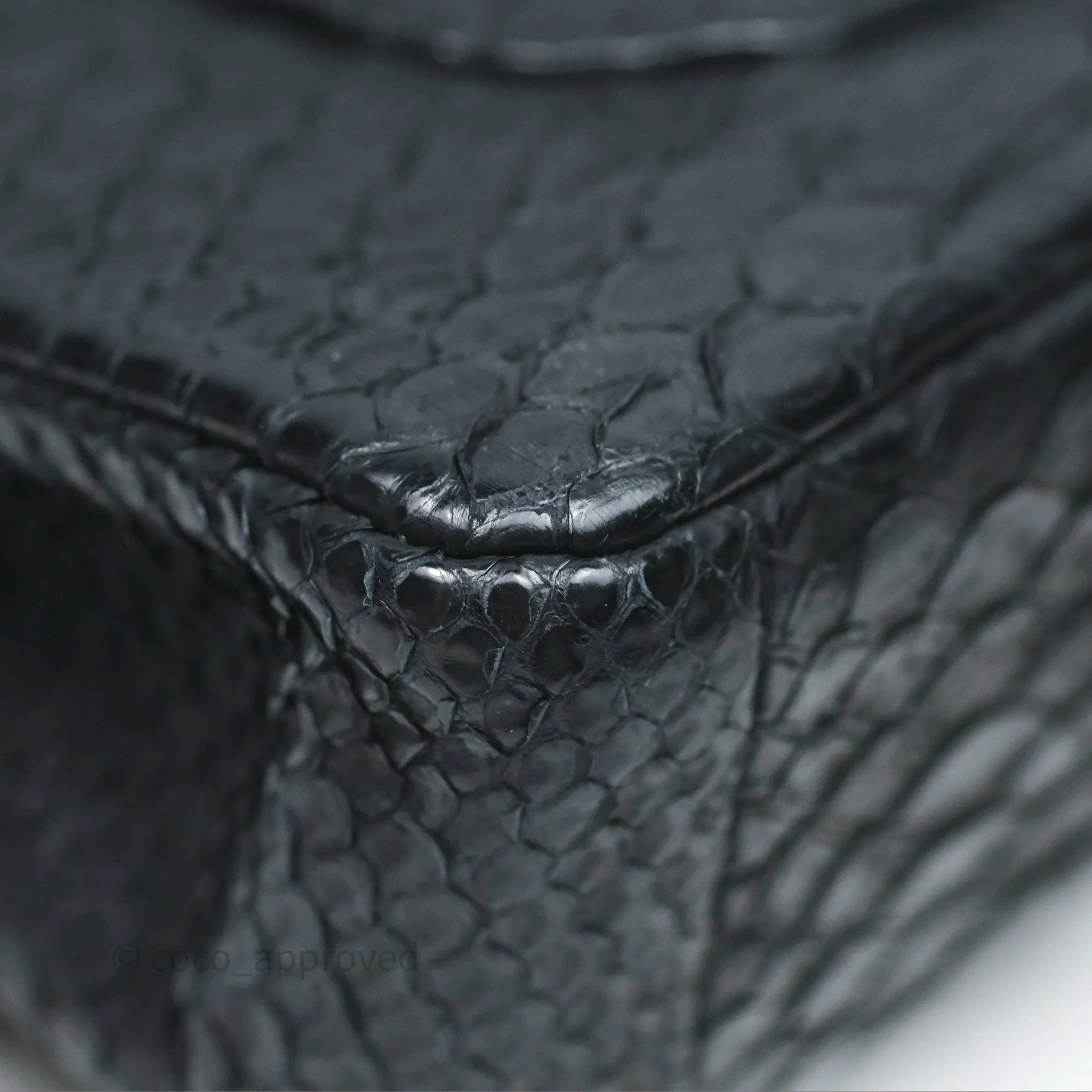 Chanel Classic M/L Medium Flap So Black Python Black Hardware