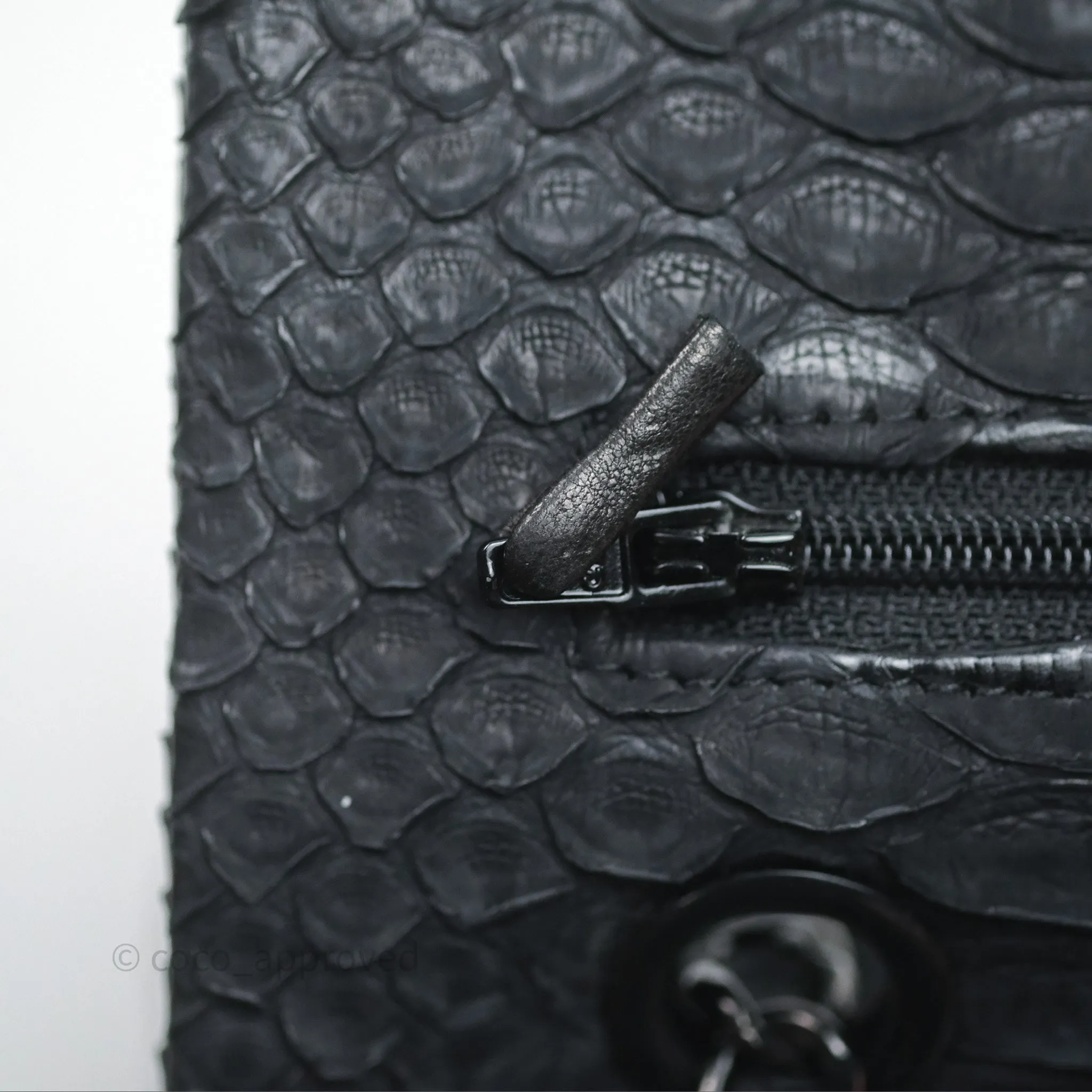 Chanel Classic M/L Medium Flap So Black Python Black Hardware