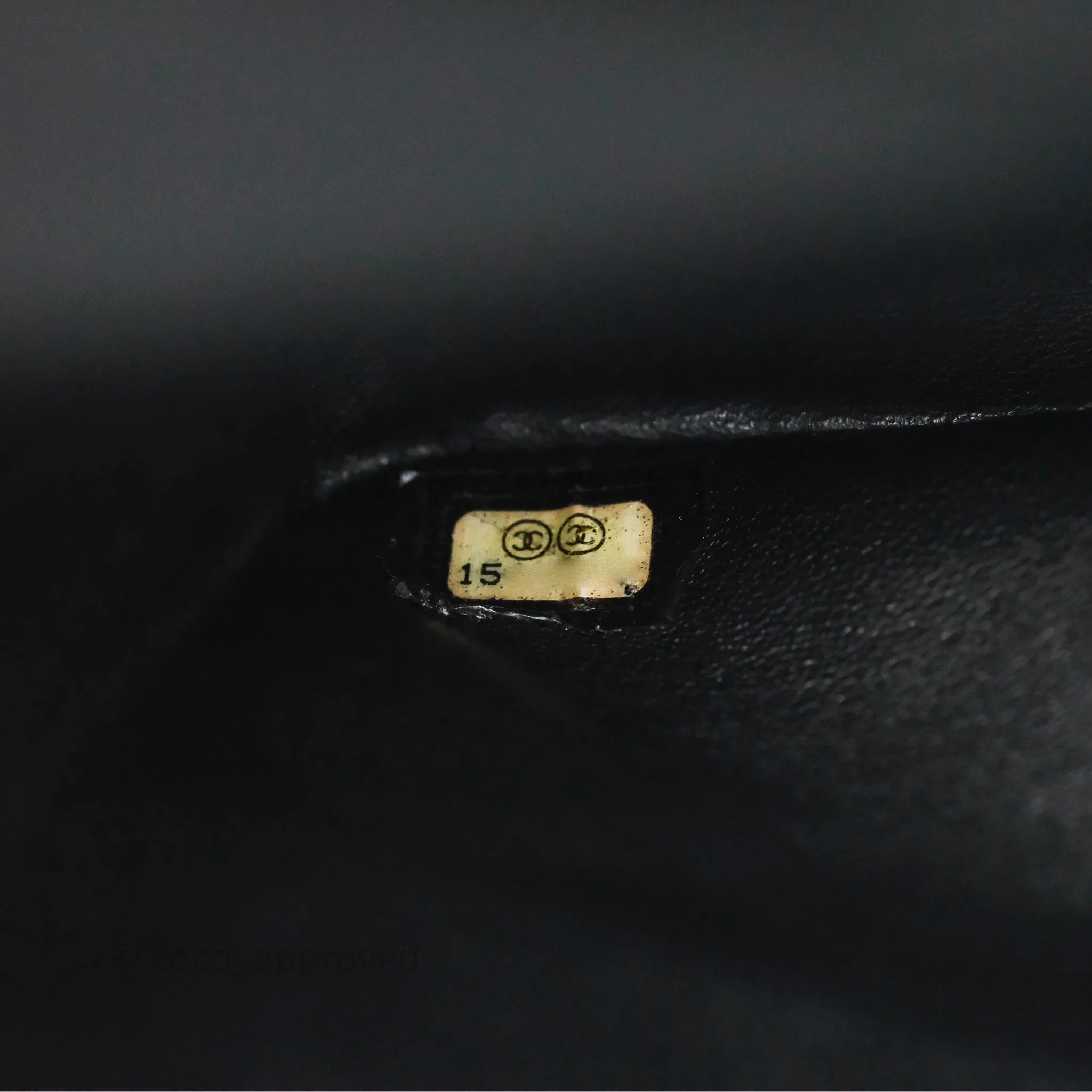 Chanel Classic M/L Medium Flap So Black Python Black Hardware