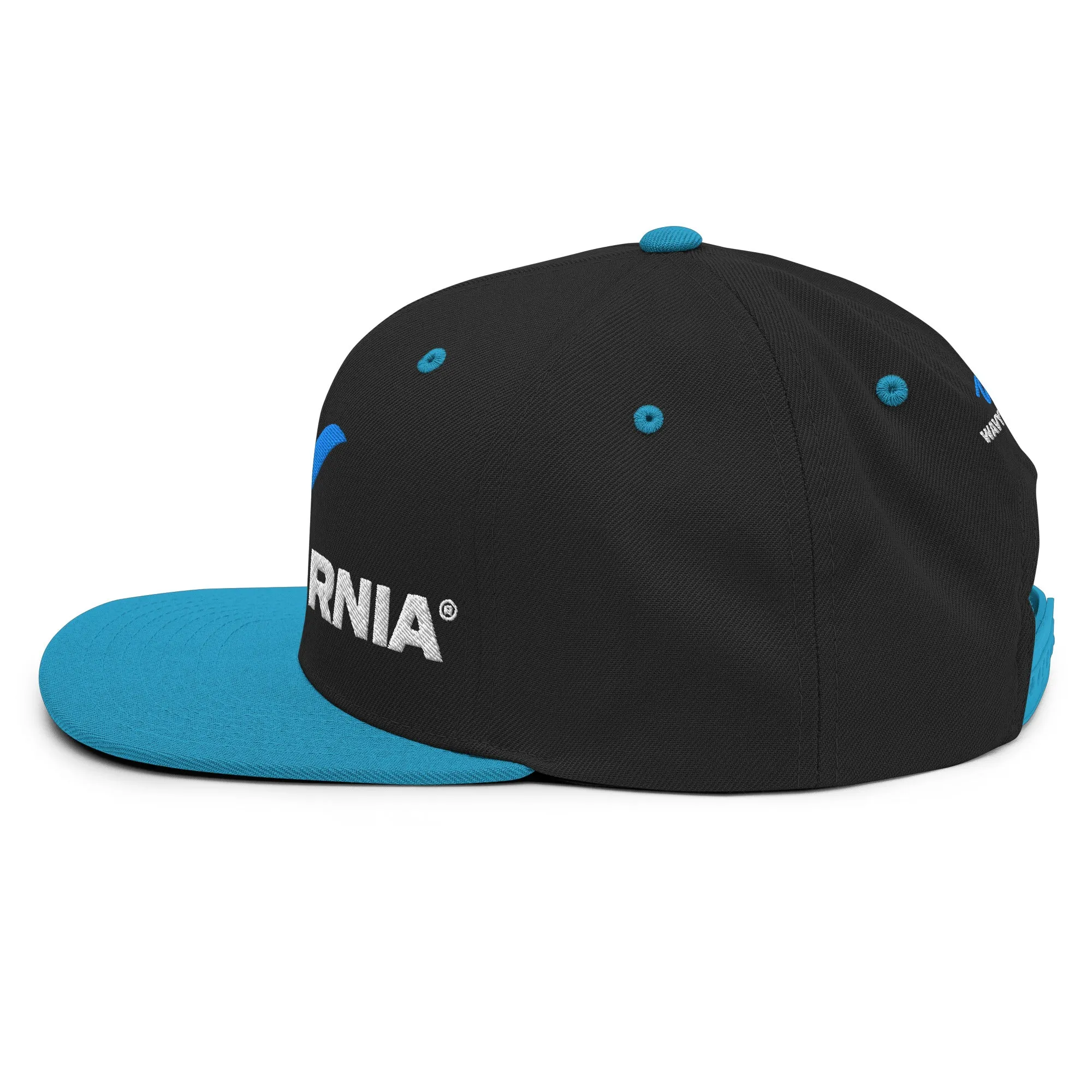 Classic Wave Snapback Hat