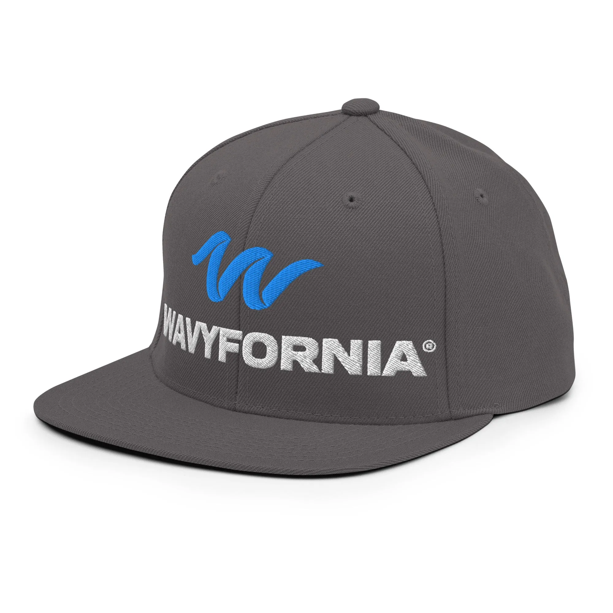 Classic Wave Snapback Hat