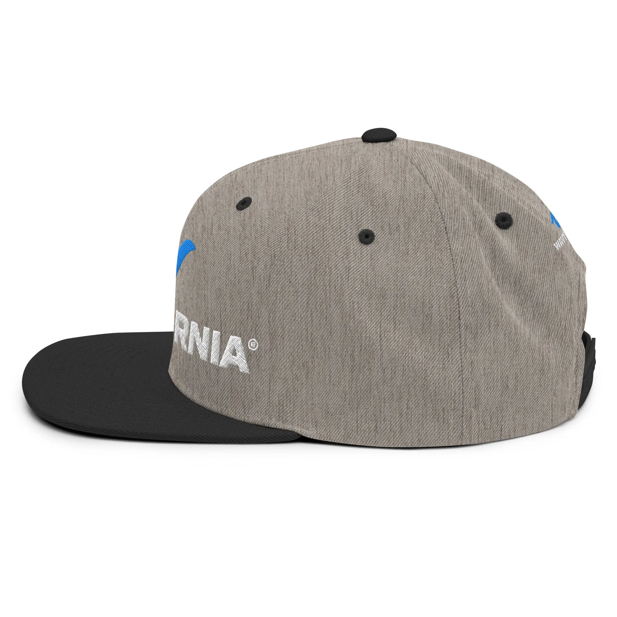 Classic Wave Snapback Hat