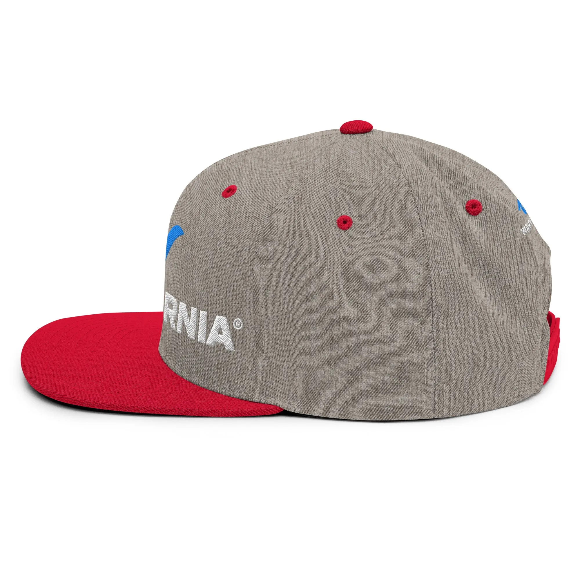 Classic Wave Snapback Hat