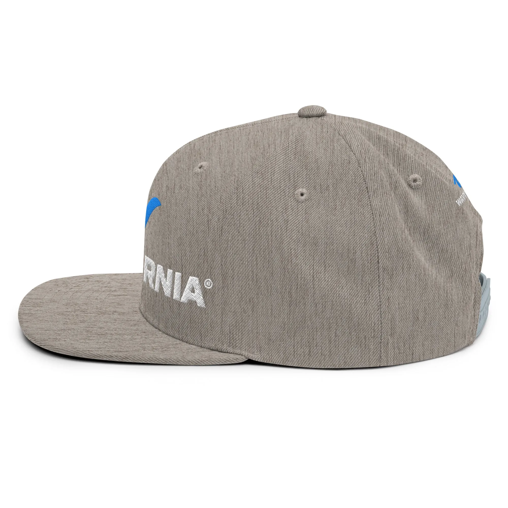 Classic Wave Snapback Hat