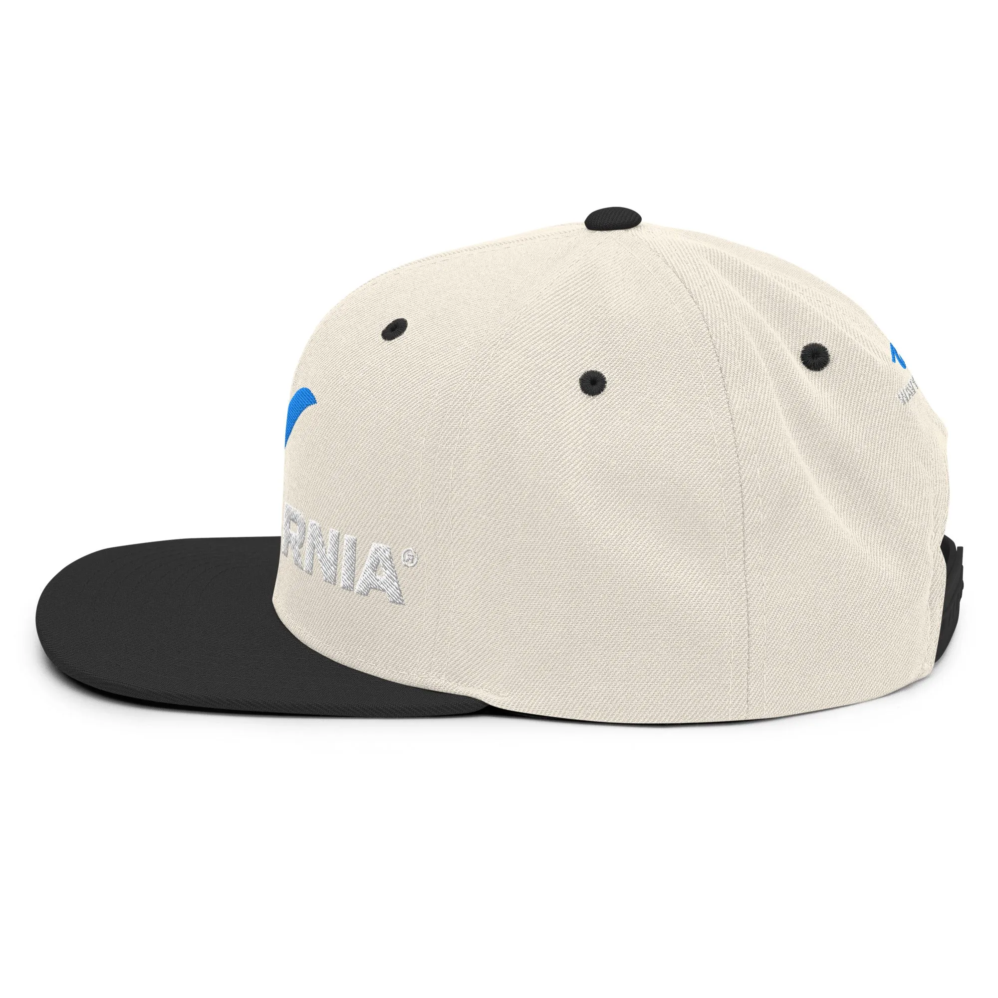 Classic Wave Snapback Hat