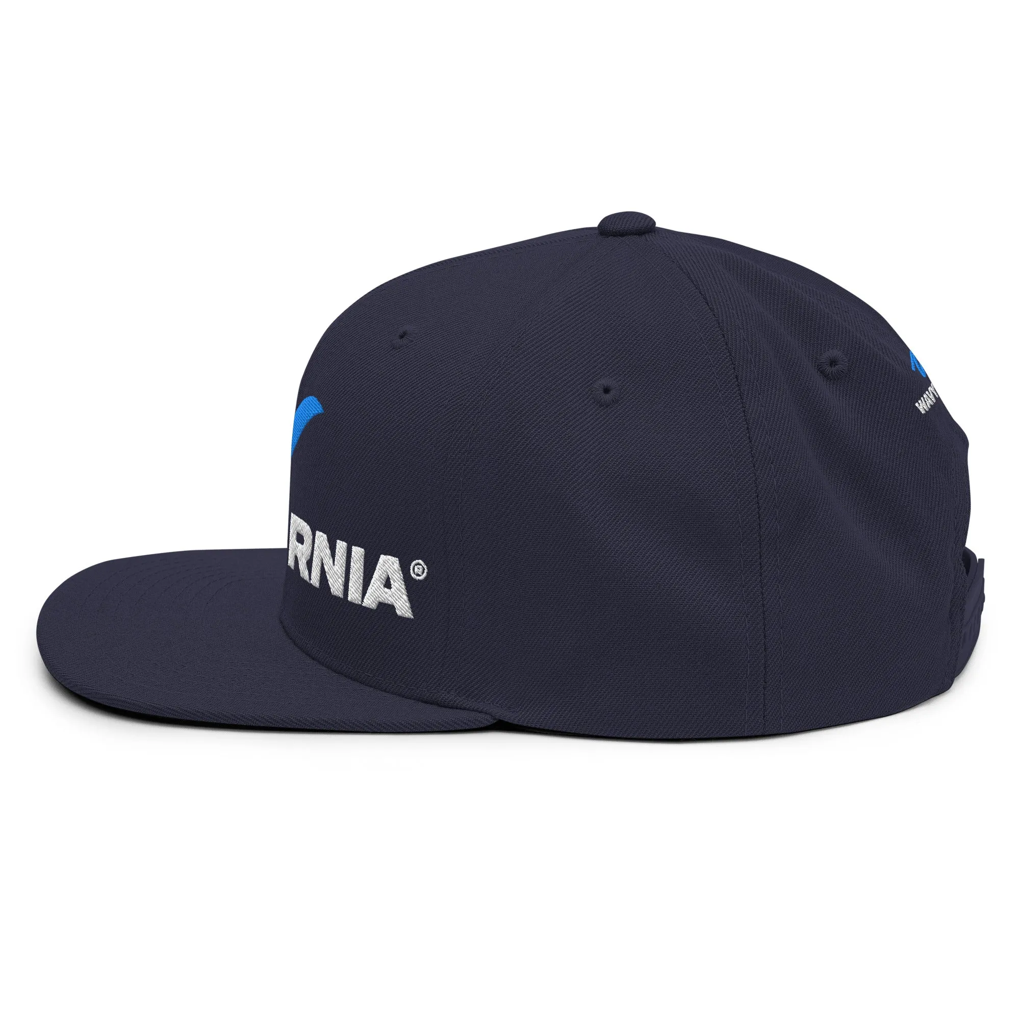 Classic Wave Snapback Hat