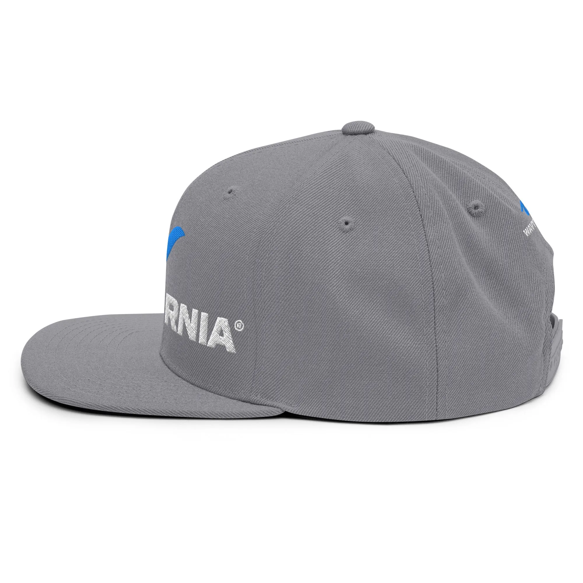 Classic Wave Snapback Hat