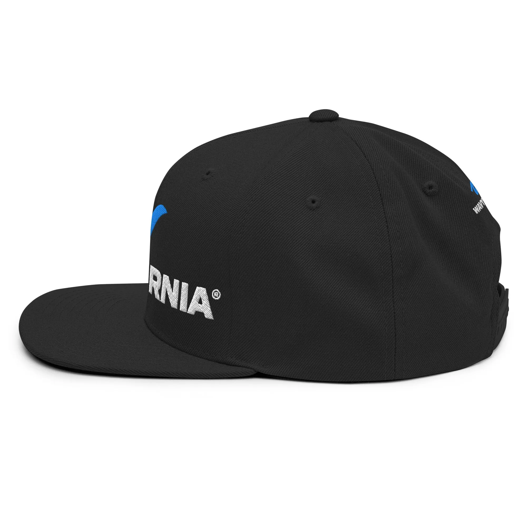 Classic Wave Snapback Hat