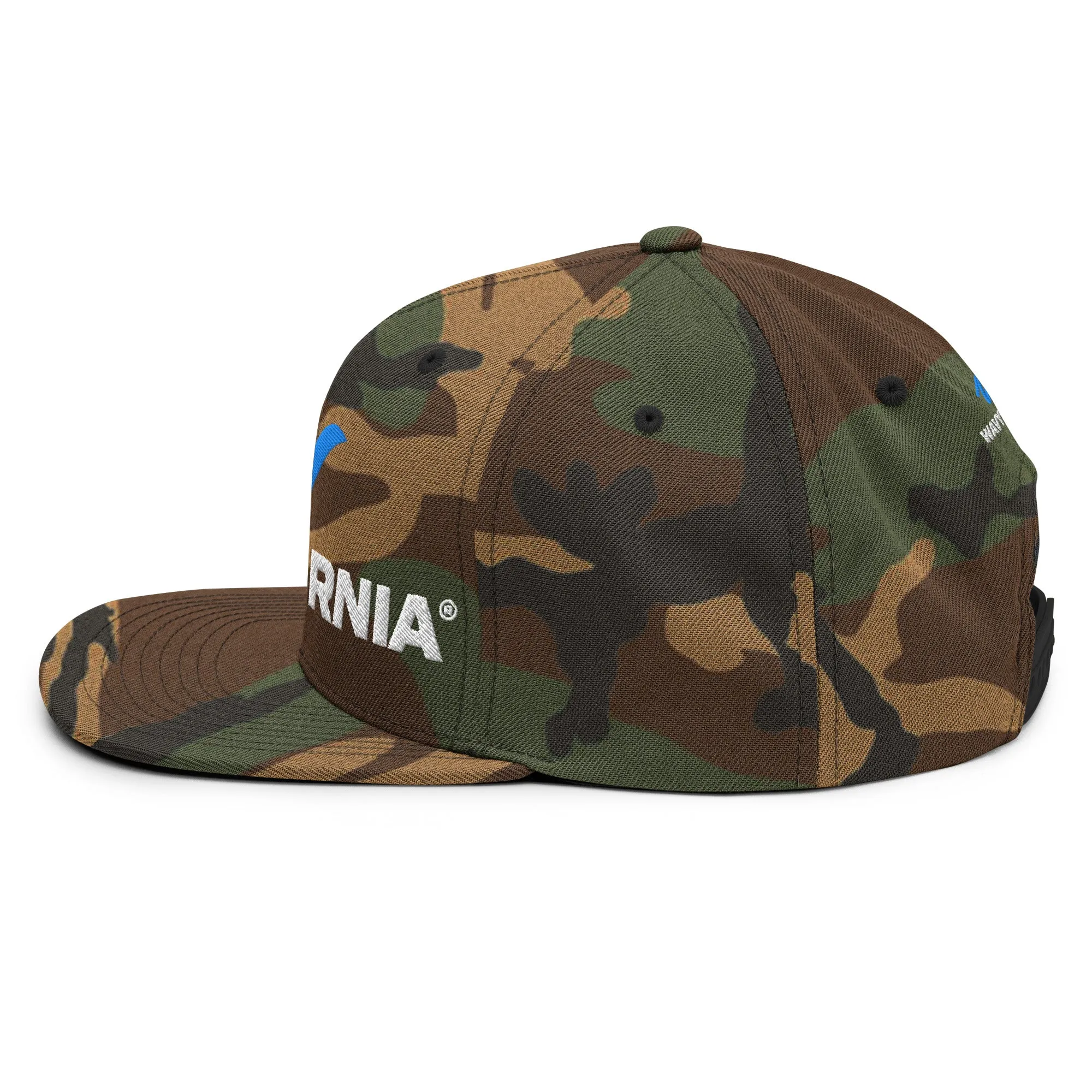 Classic Wave Snapback Hat
