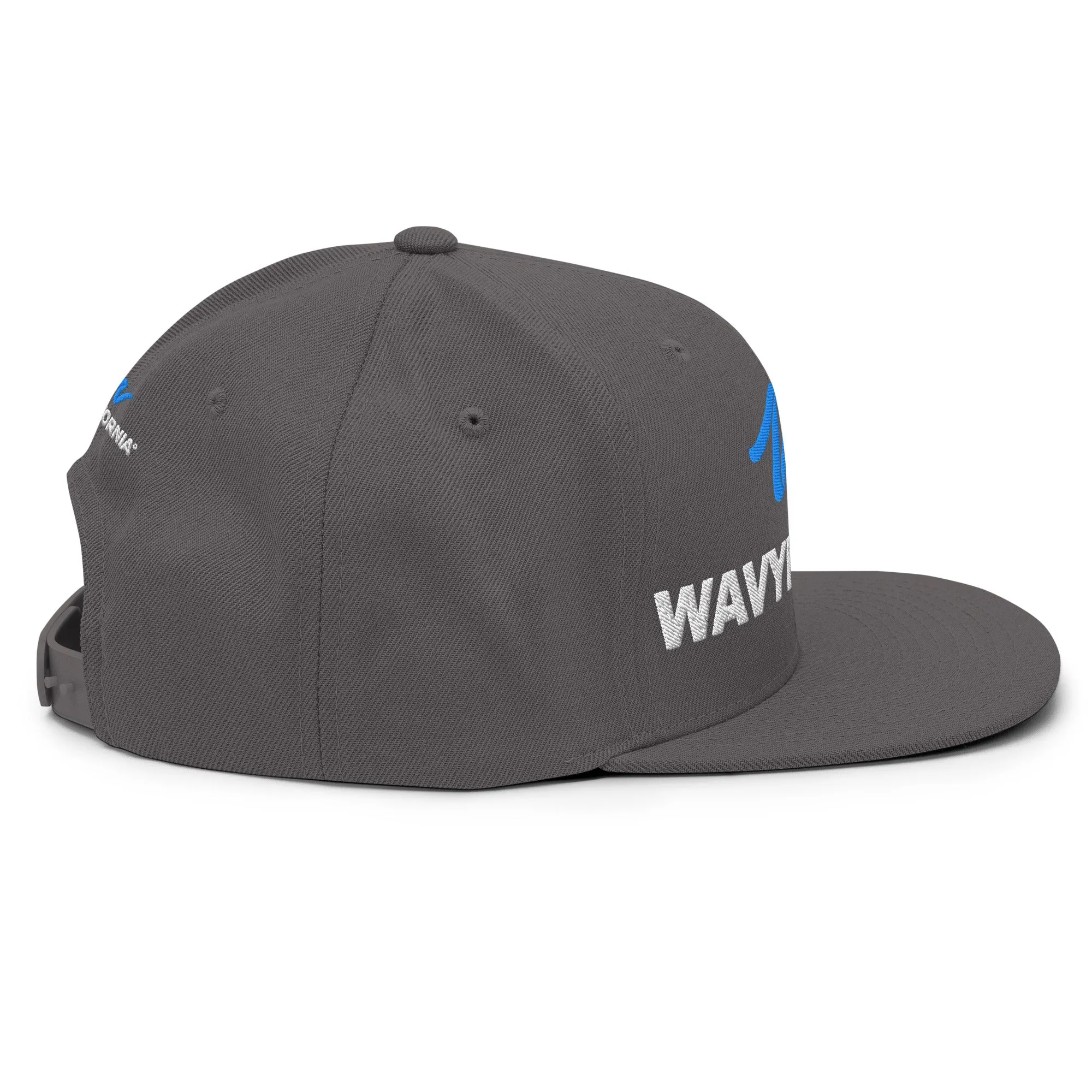 Classic Wave Snapback Hat