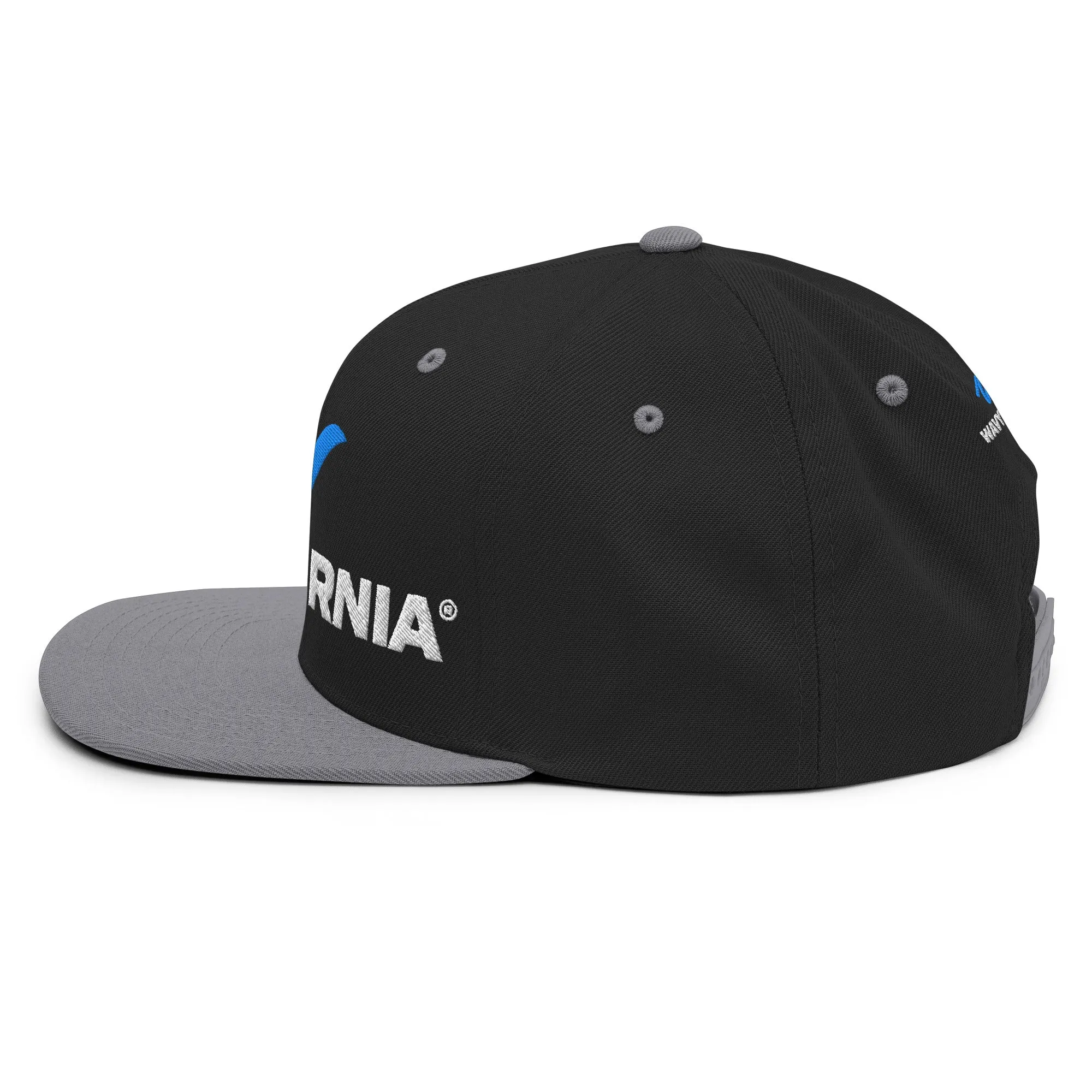 Classic Wave Snapback Hat