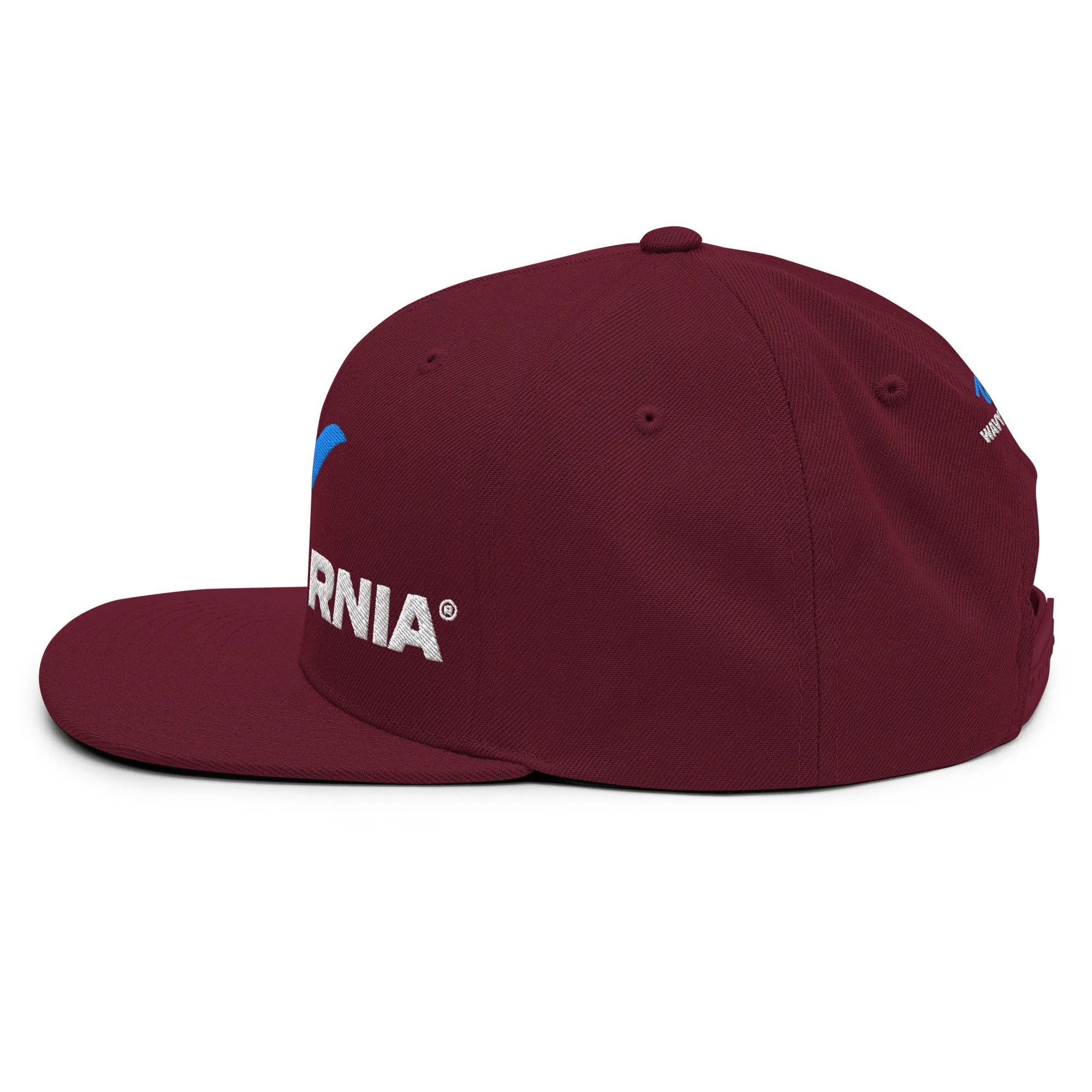 Classic Wave Snapback Hat
